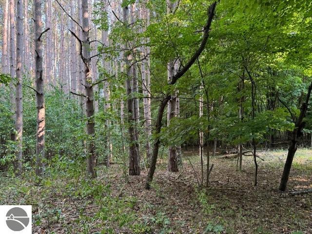 0 S Benzonia Trail