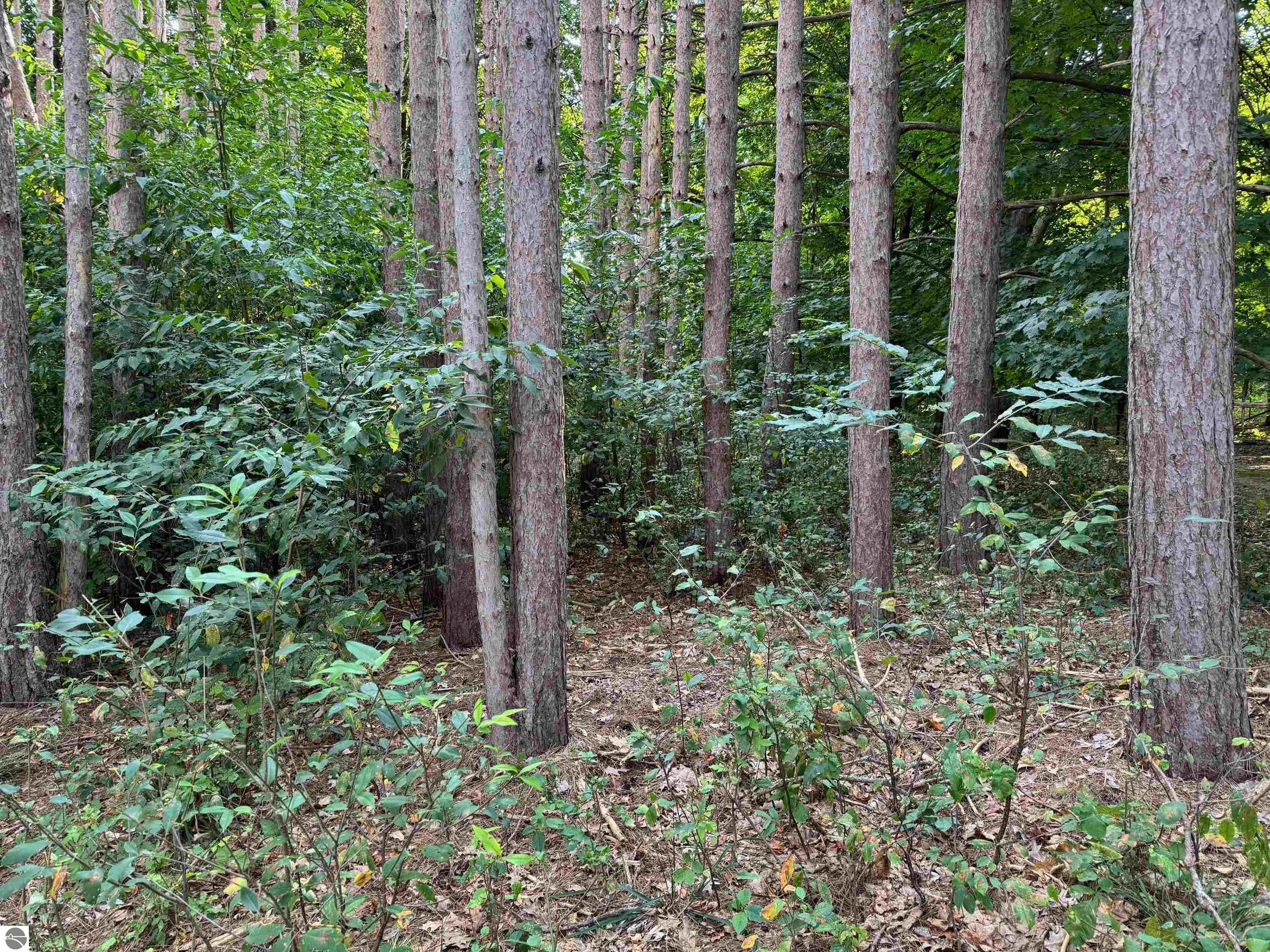 0 S Benzonia Trail