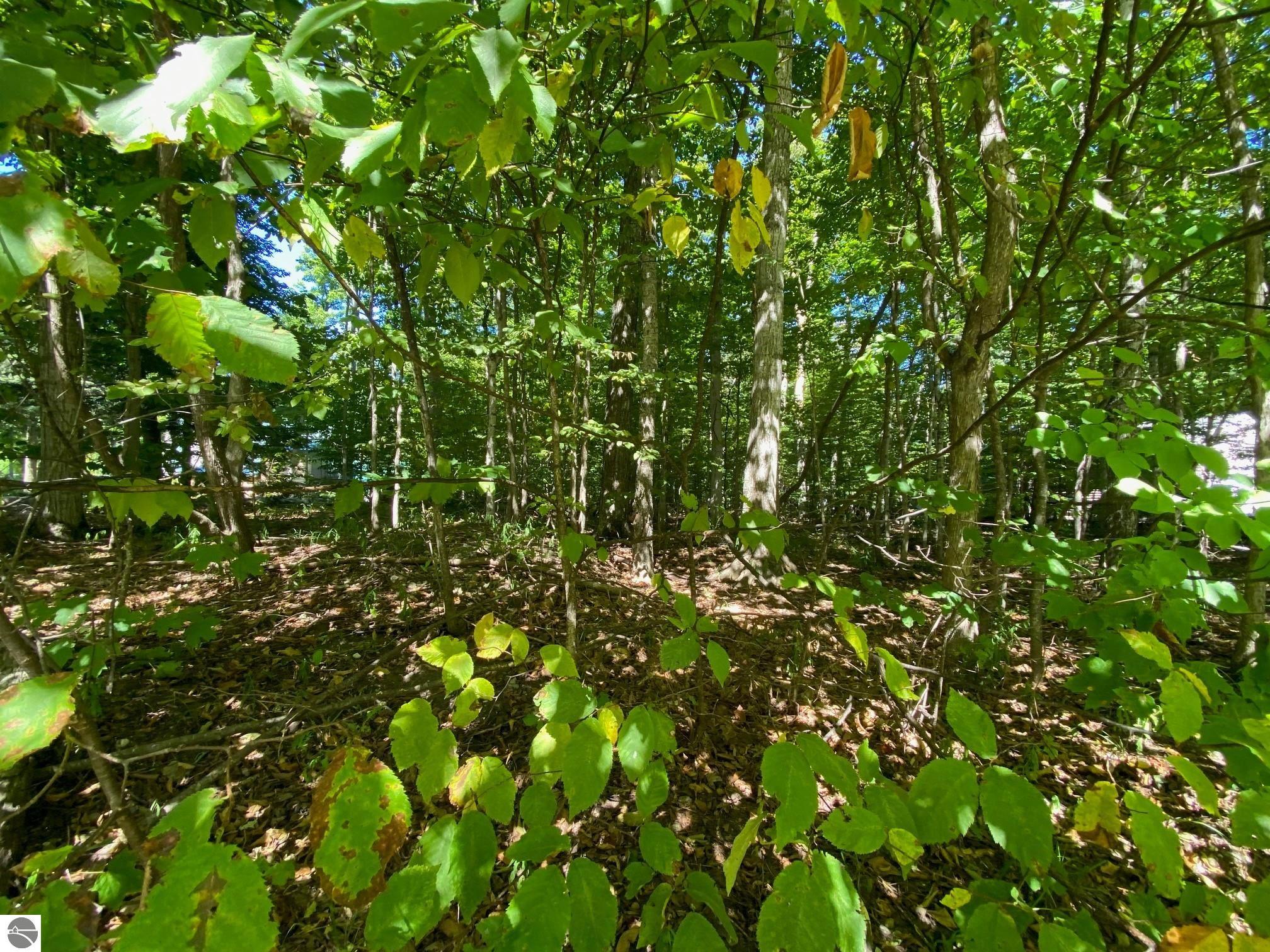 Lot 130 E Sugar Maple Drive