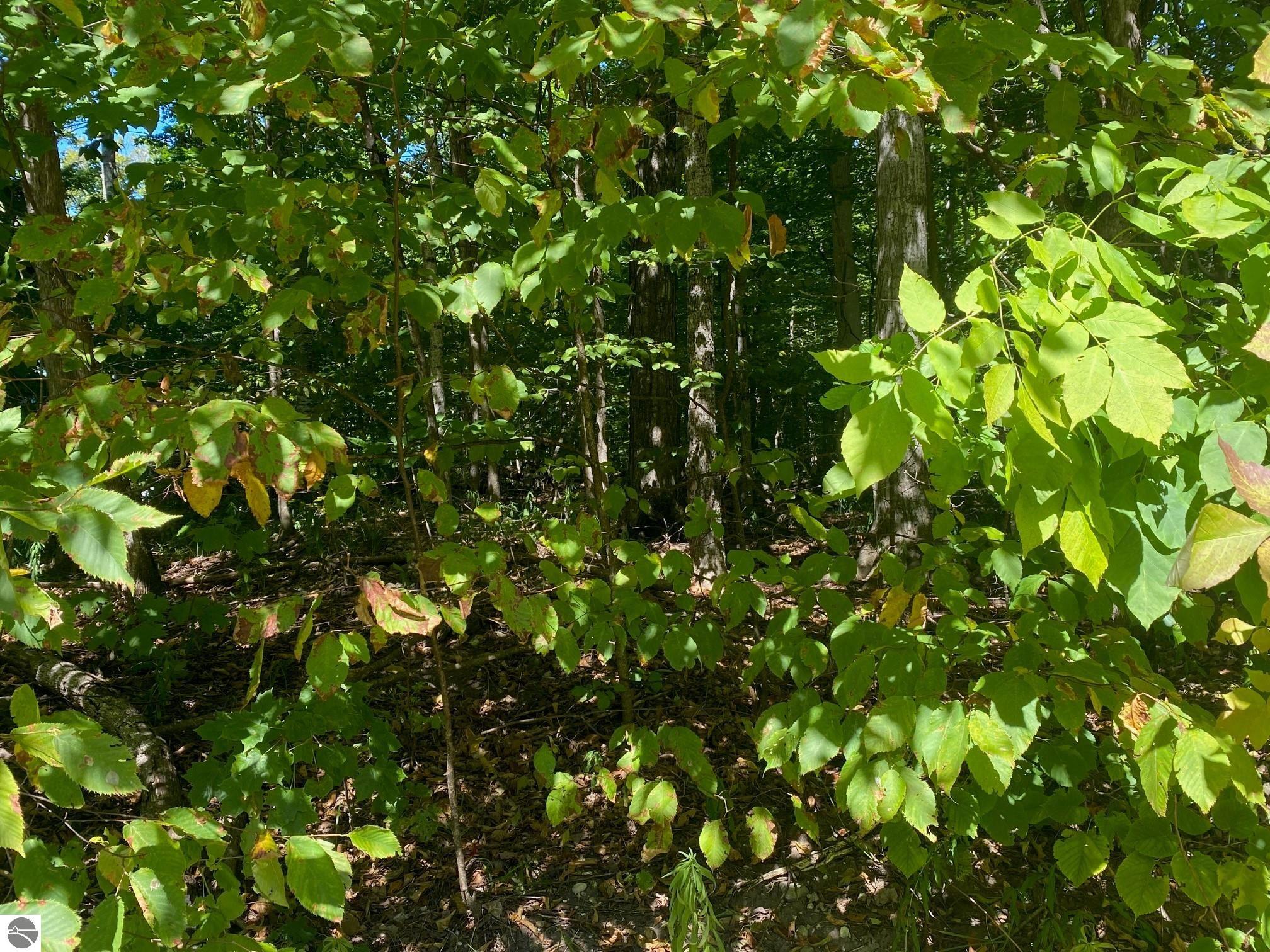Lot 130 E Sugar Maple Drive
