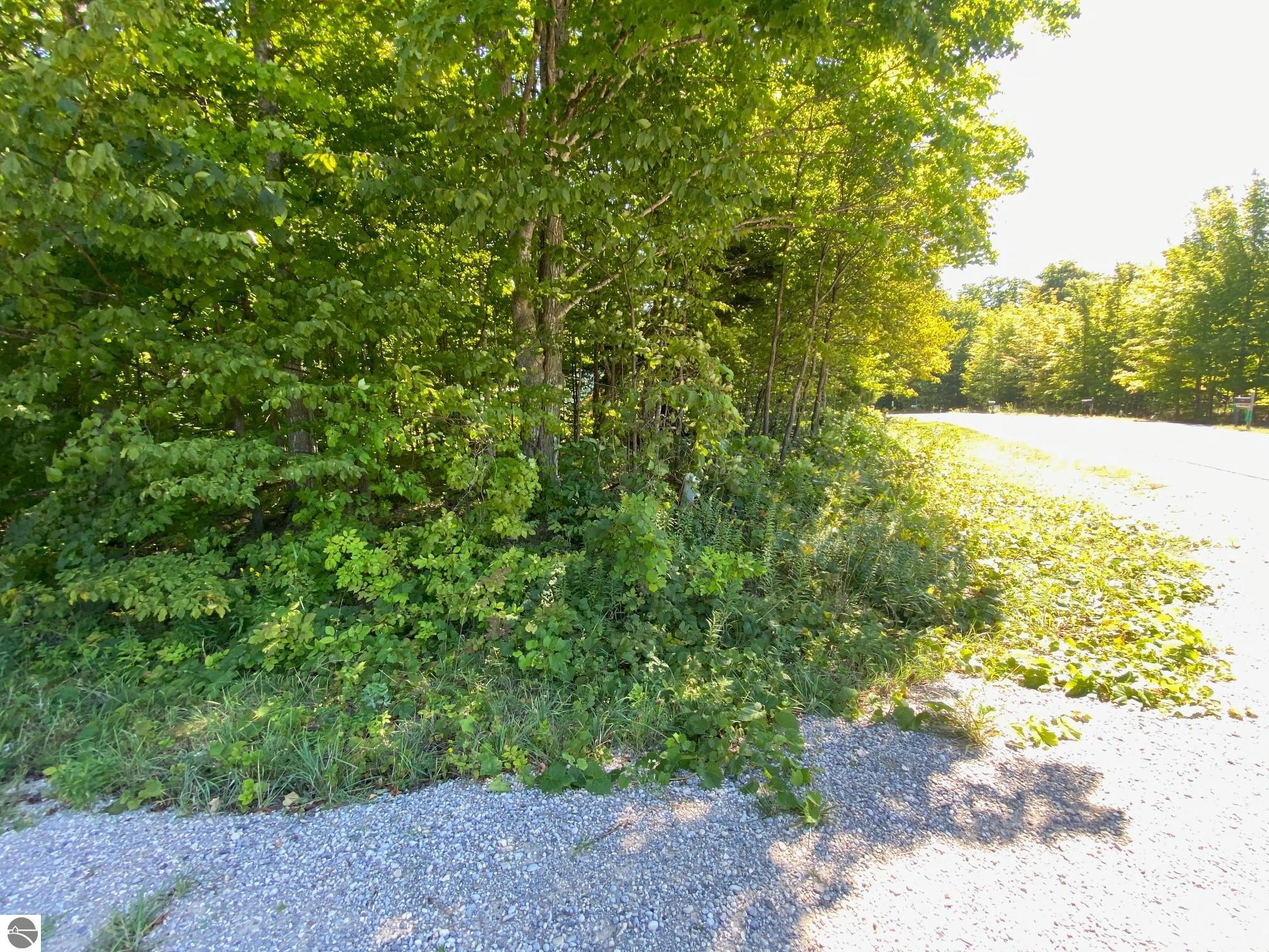 Lot 134 E Cherry Lane