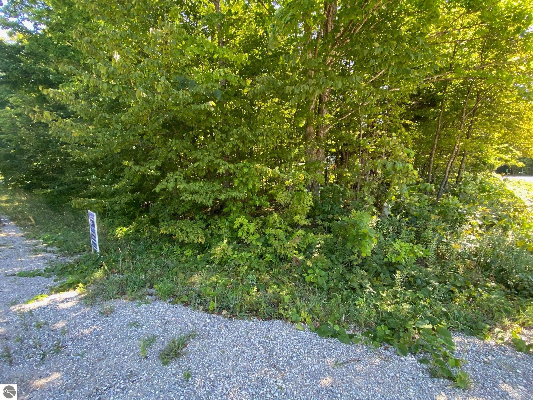 Lot 134 E Cherry Lane