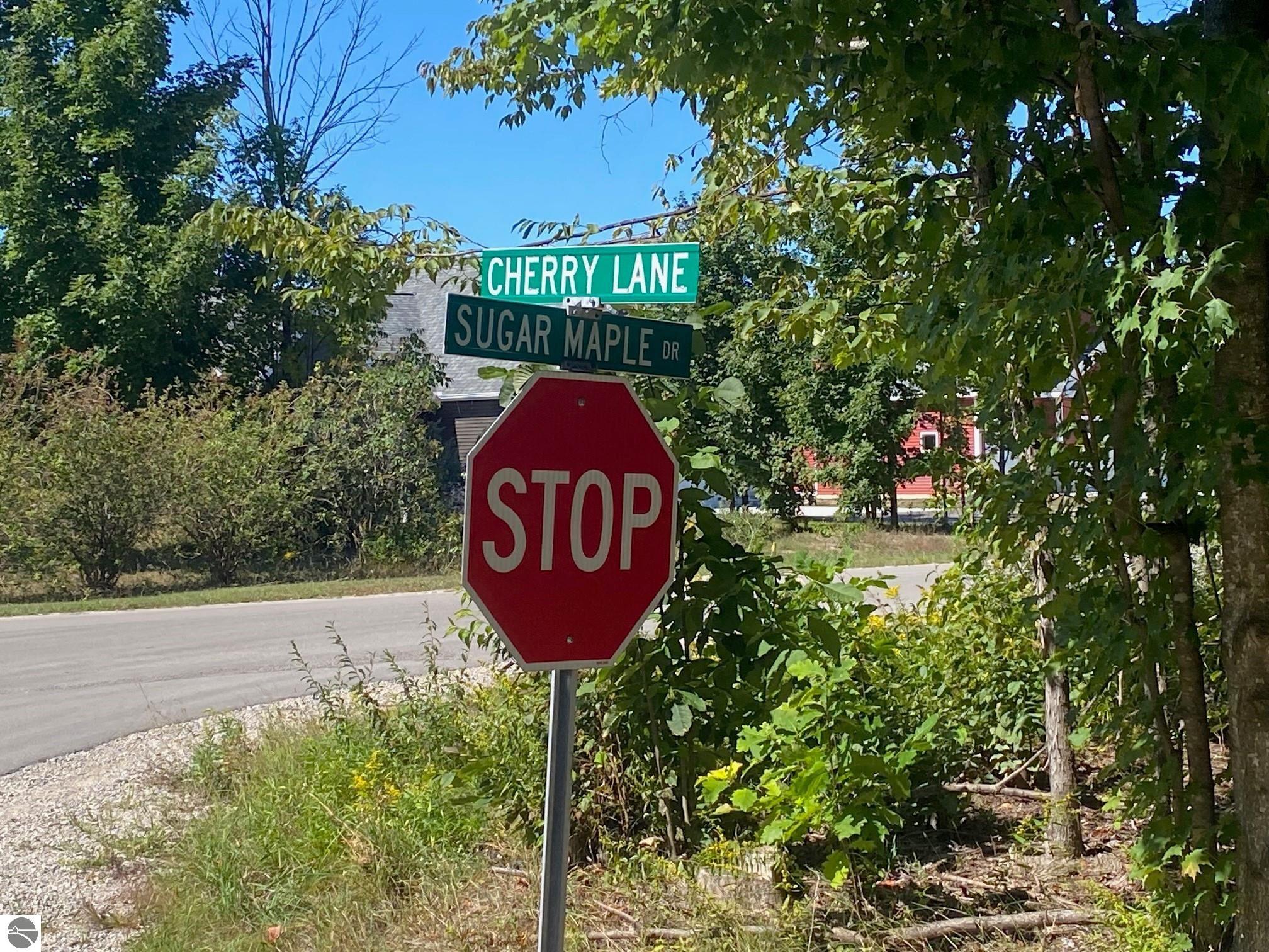 Lot 134 E Cherry Lane