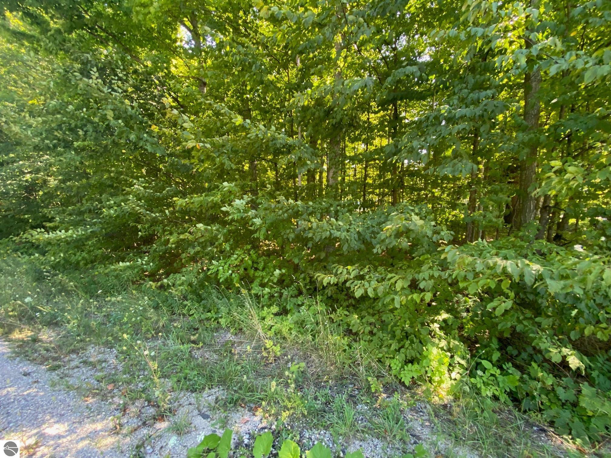 Lot 134 E Cherry Lane