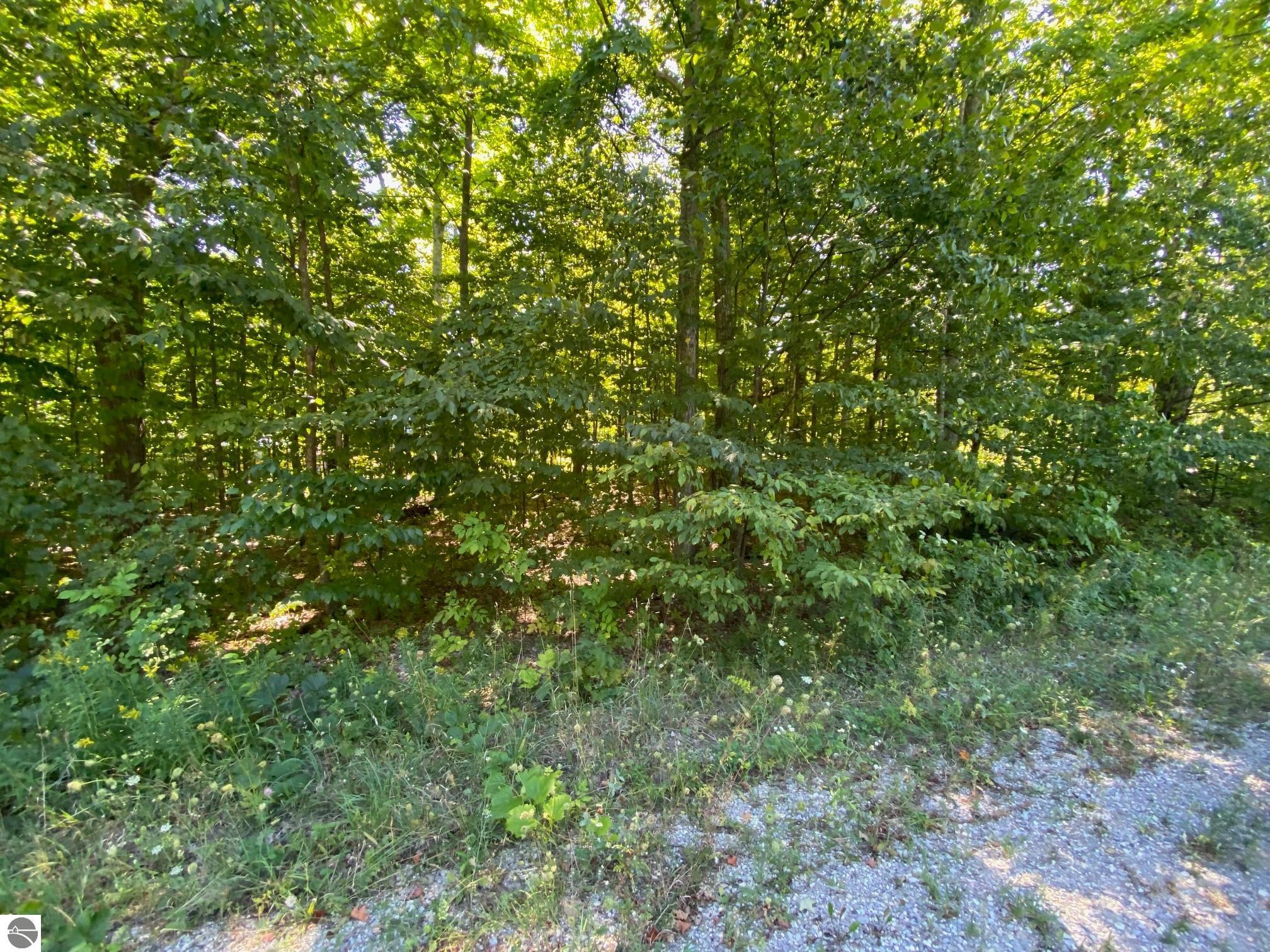 Lot 134 E Cherry Lane