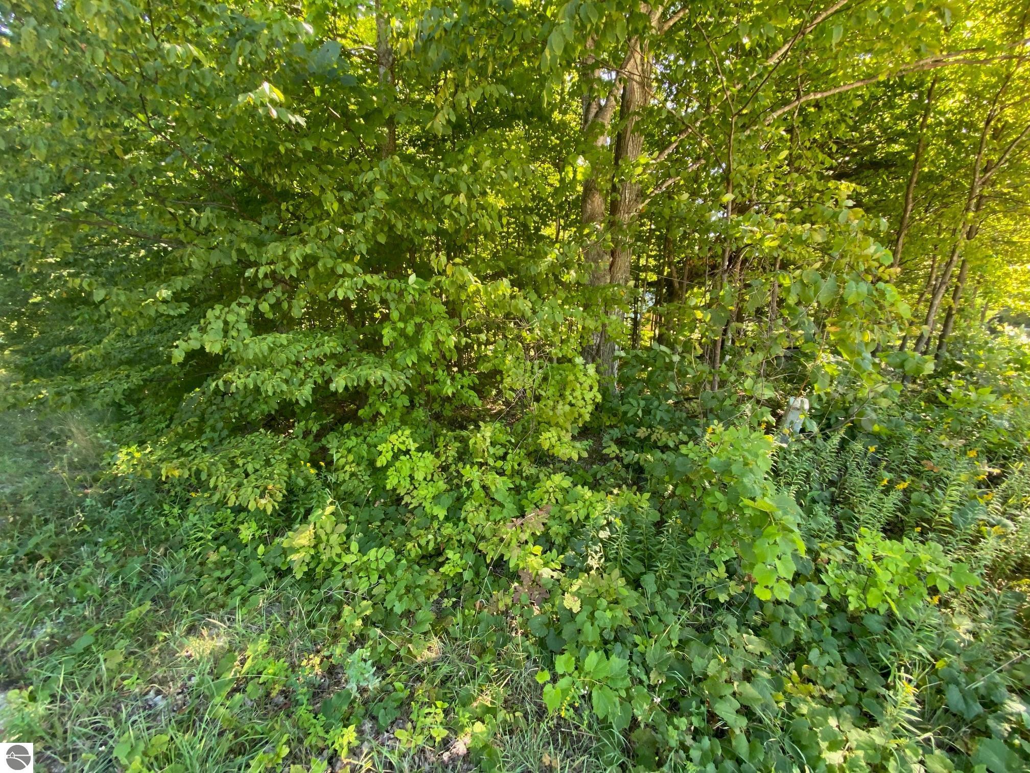 Lot 134 E Cherry Lane