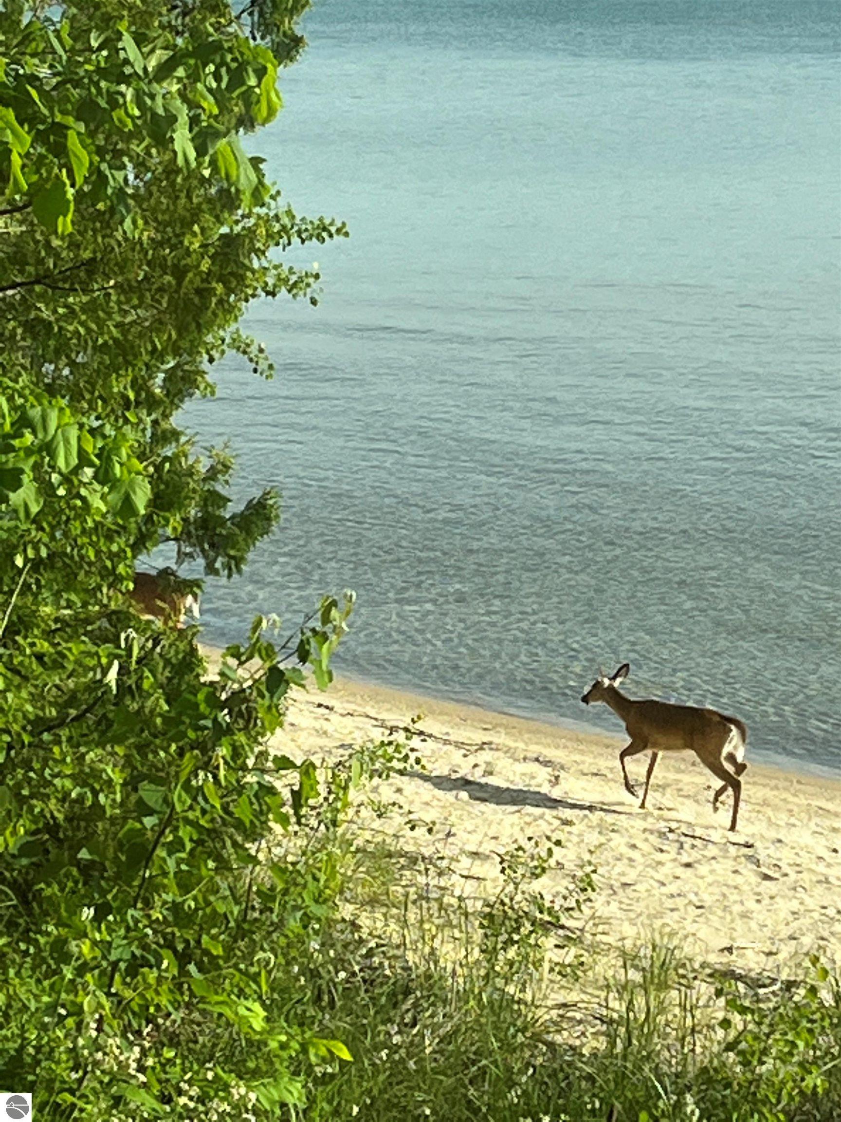 701 N Stony Point Road