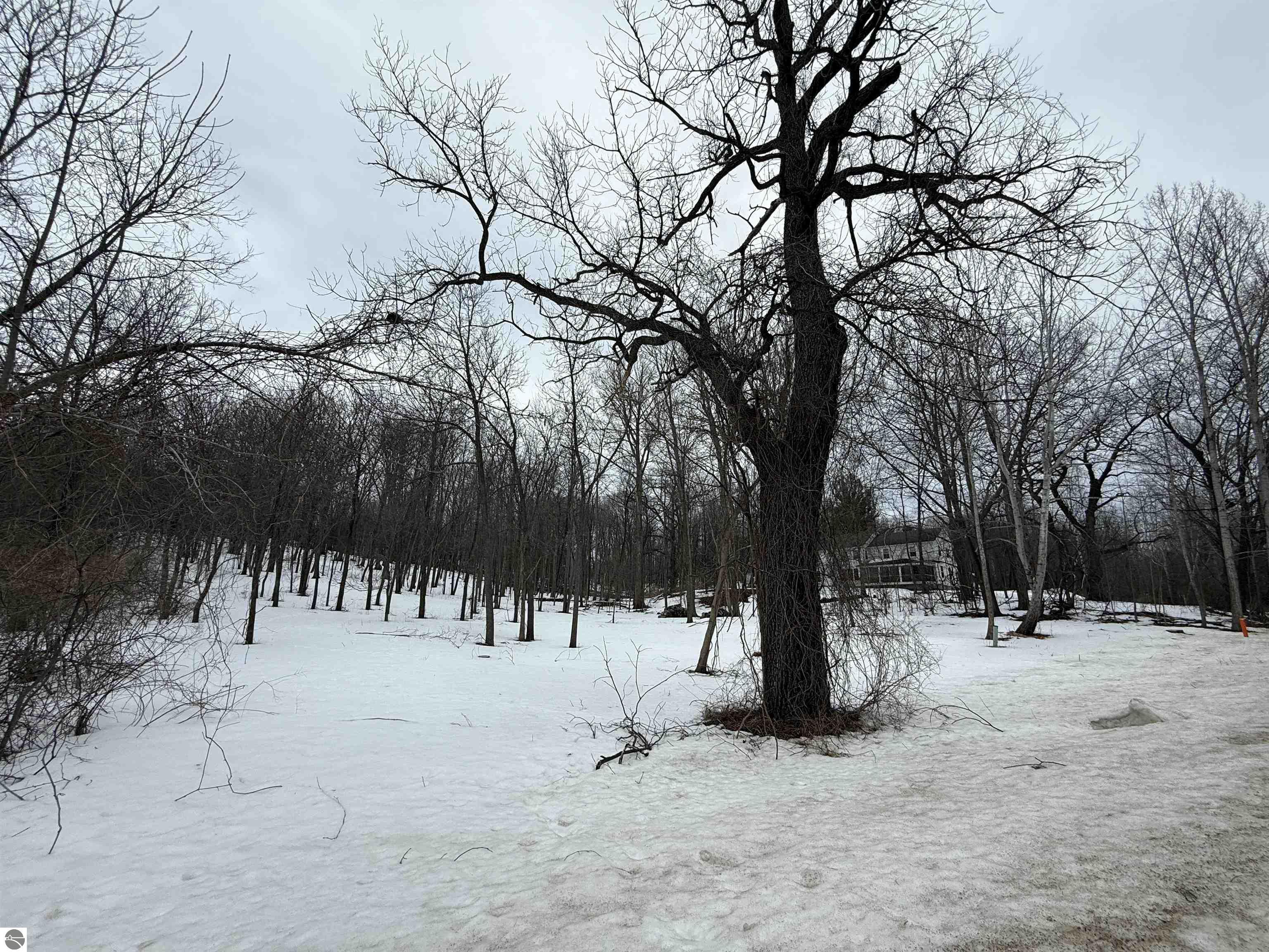 N Manitou Trail