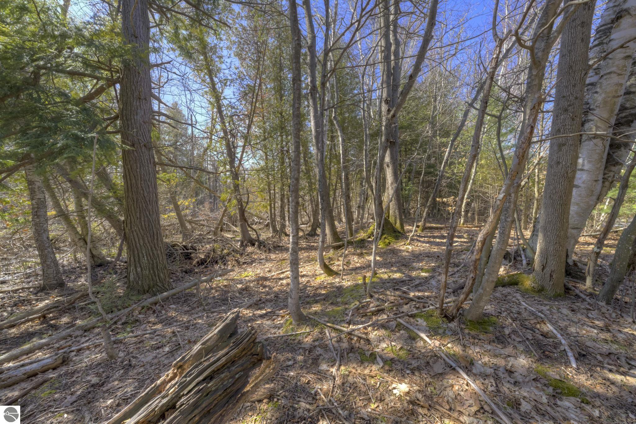 Lot 10 S Micheals Woods Trail