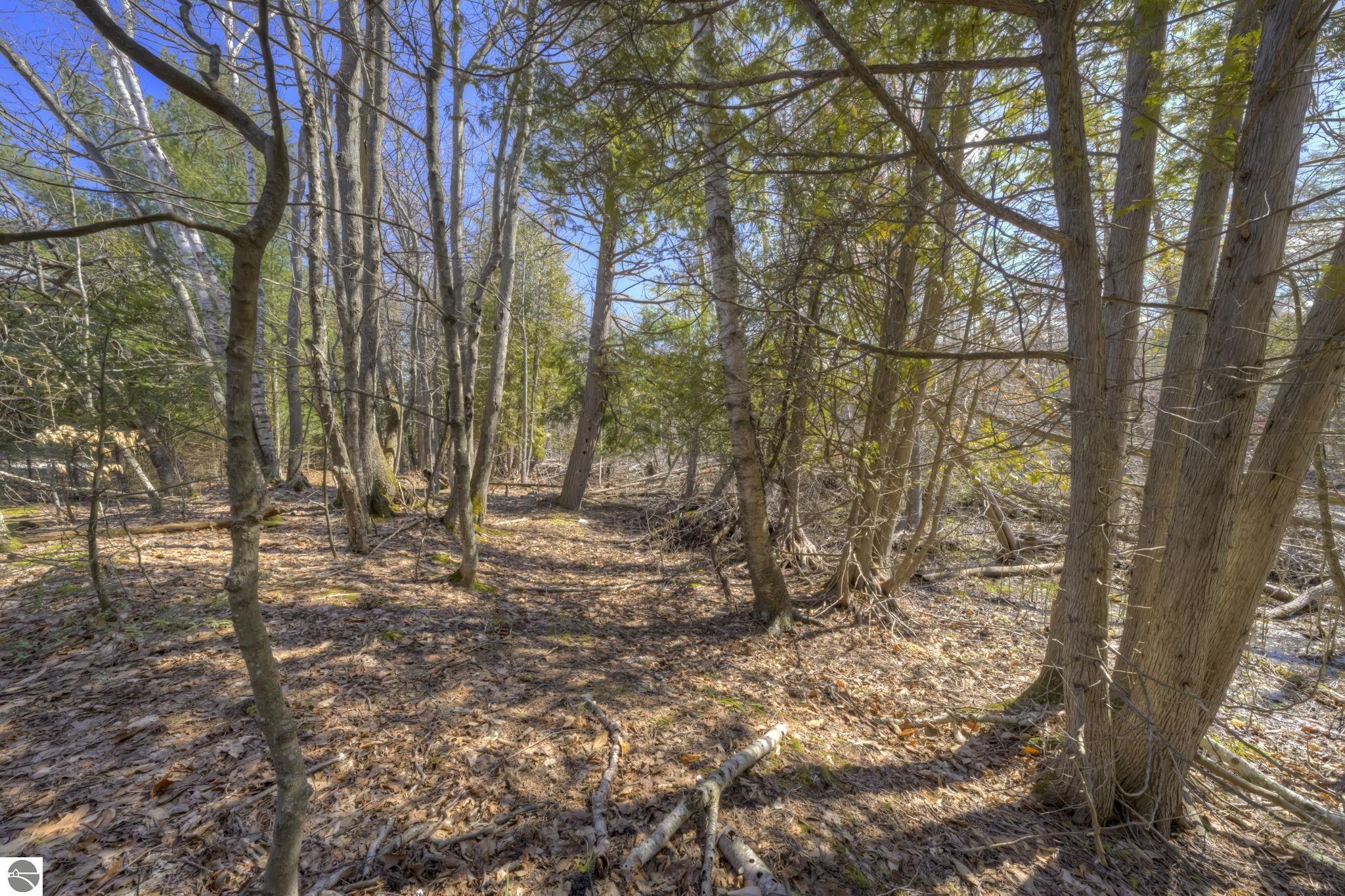 Lot 10 S Micheals Woods Trail