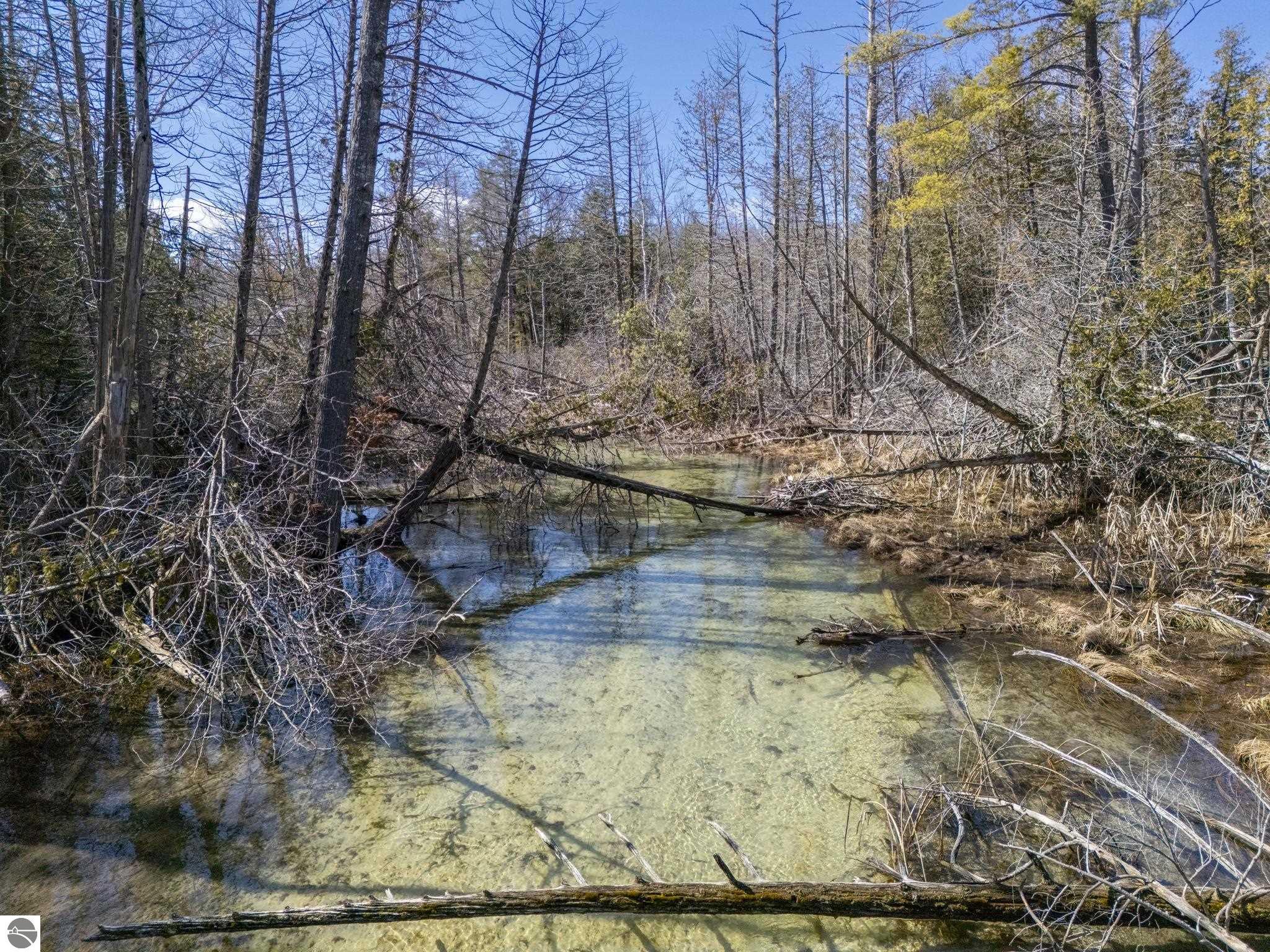 Lot 10 S Micheals Woods Trail