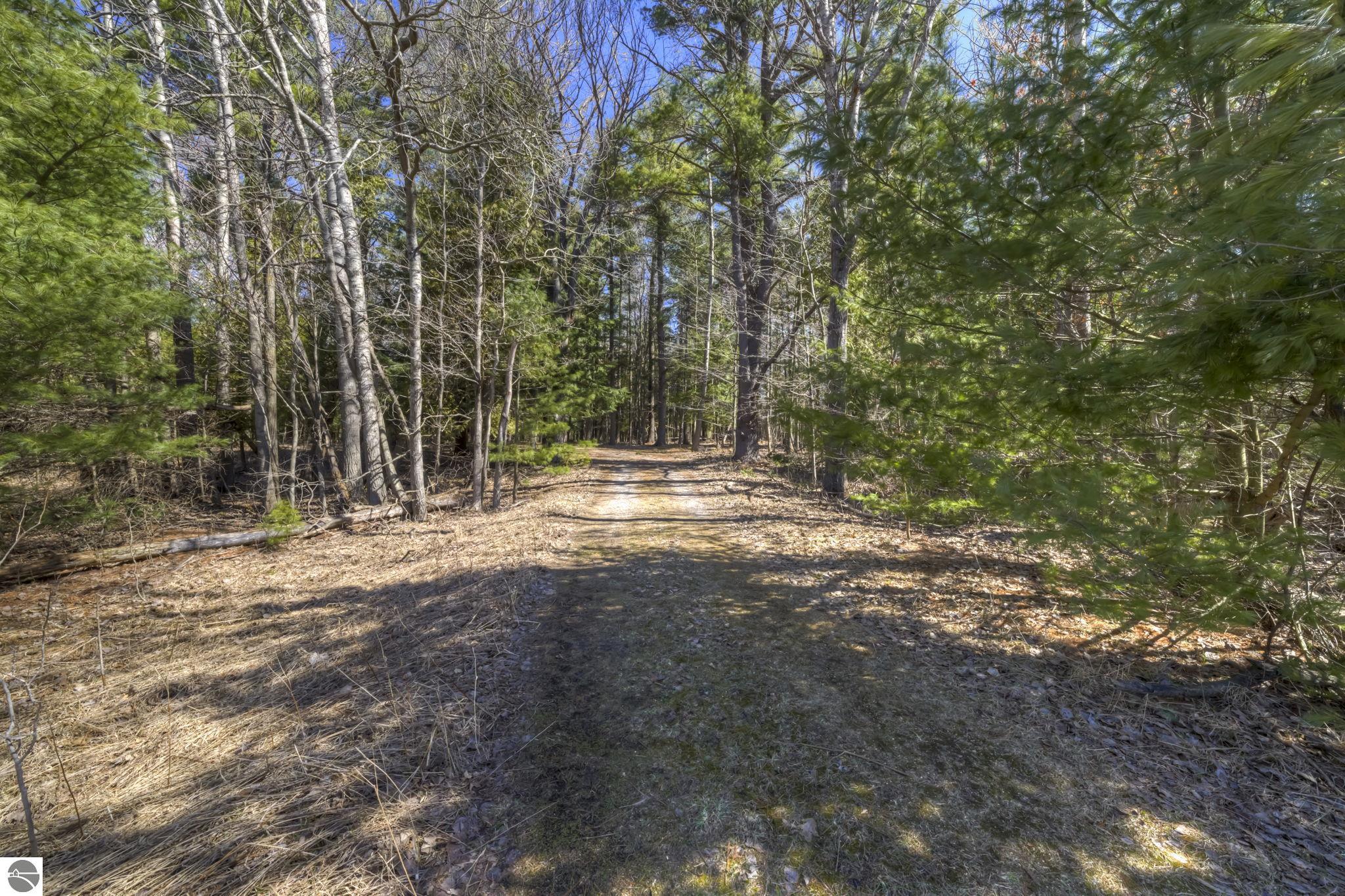 Lot 10 S Micheals Woods Trail