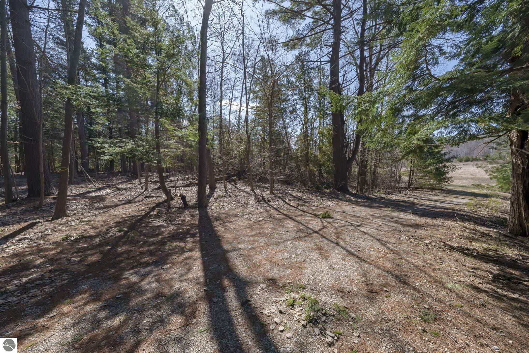 Lot 10 S Micheals Woods Trail