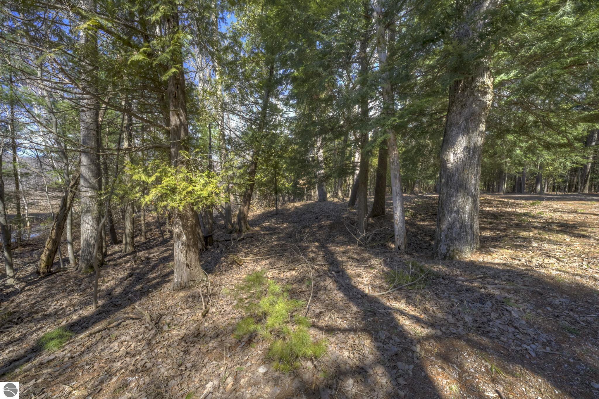 Lot 10 S Micheals Woods Trail