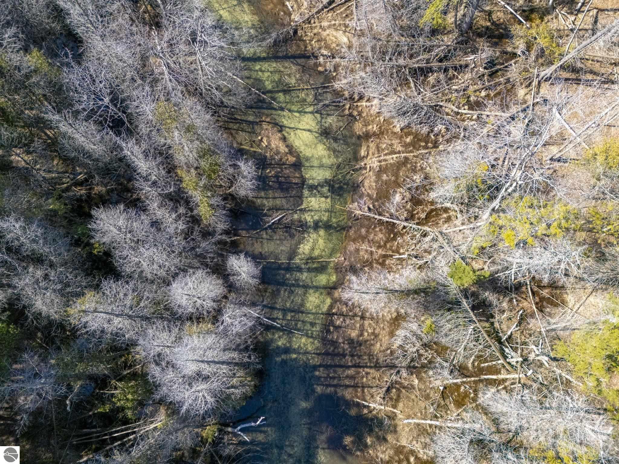 Lot 10 S Micheals Woods Trail
