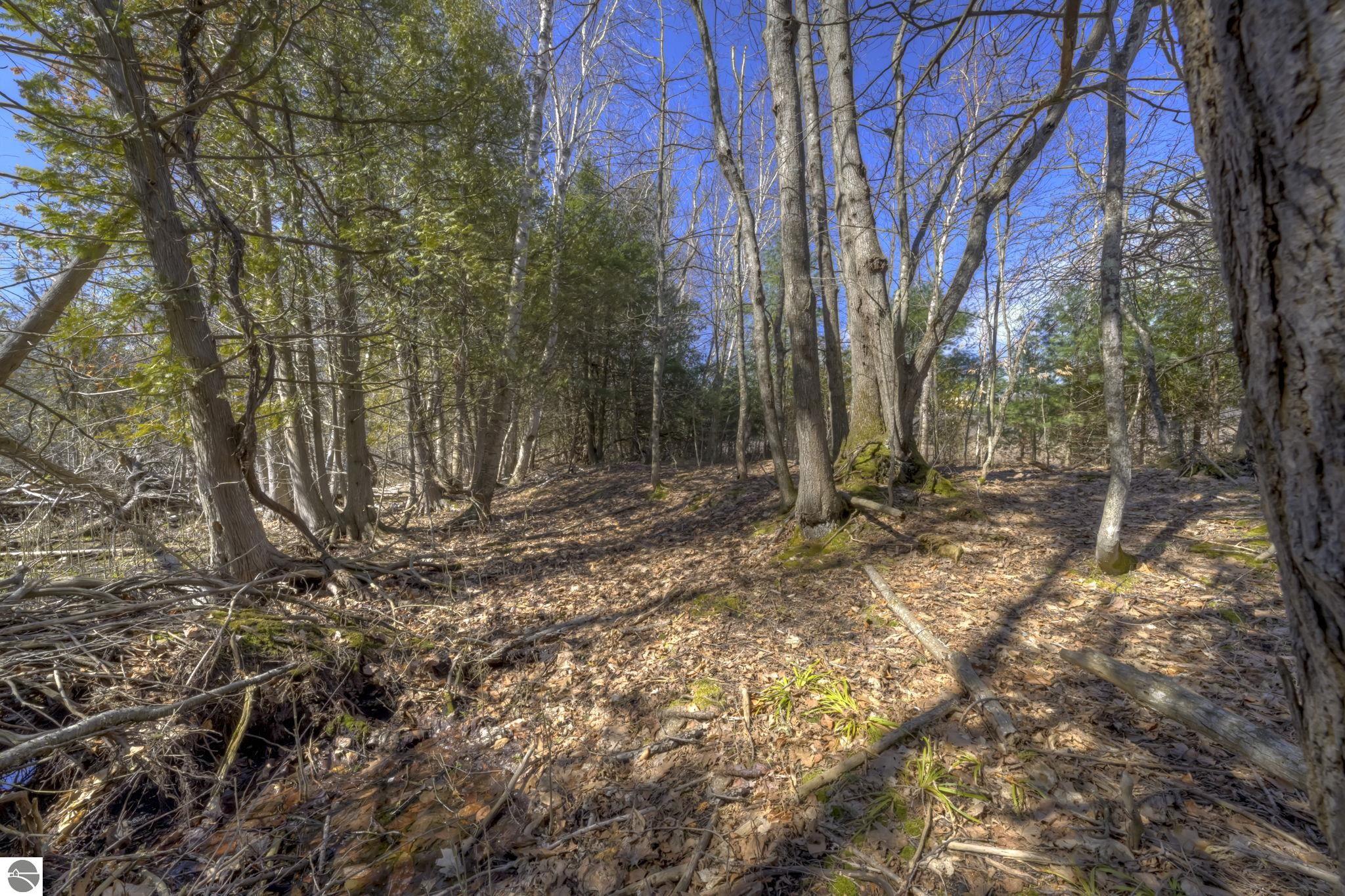 Lot 10 S Micheals Woods Trail