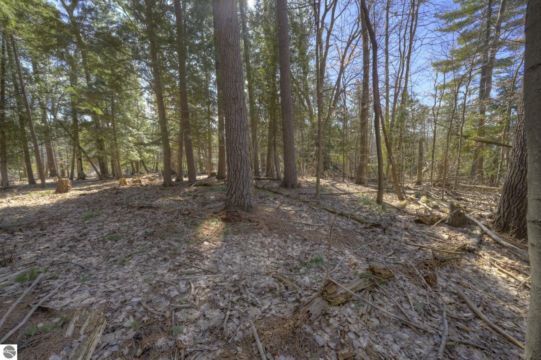 Lot 10 S Micheals Woods Trail
