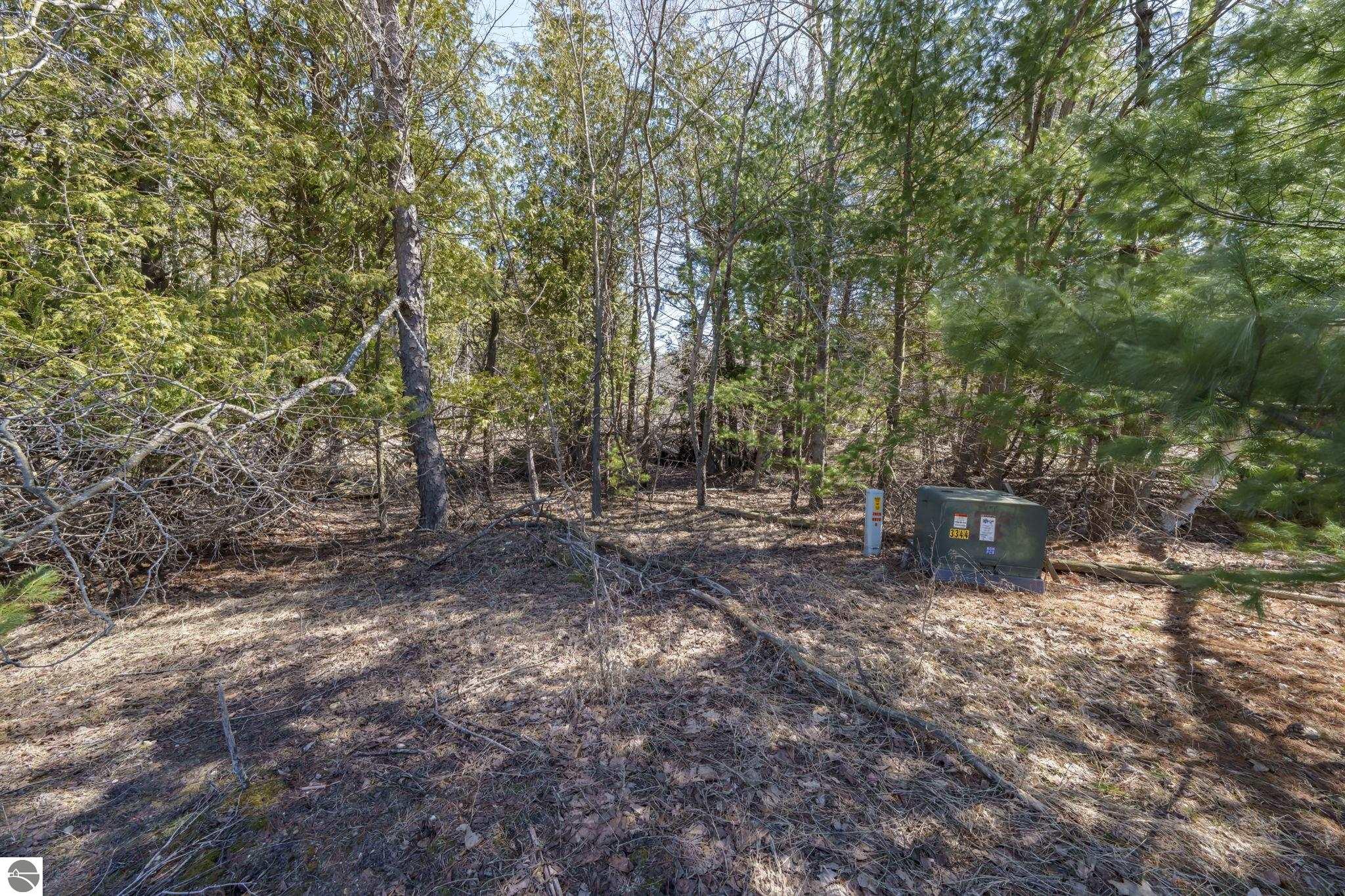 Lot 10 S Micheals Woods Trail