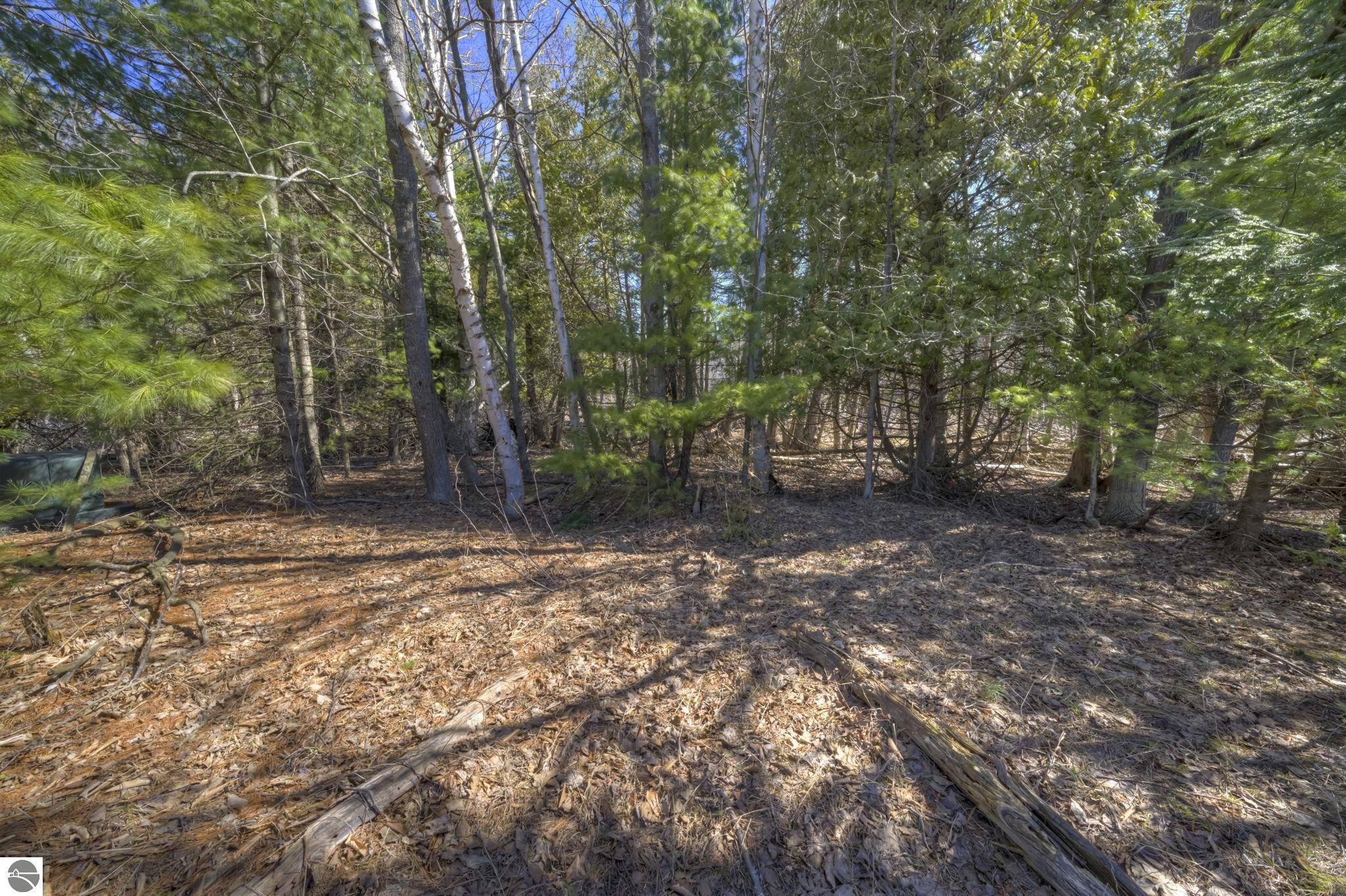 Lot 10 S Micheals Woods Trail