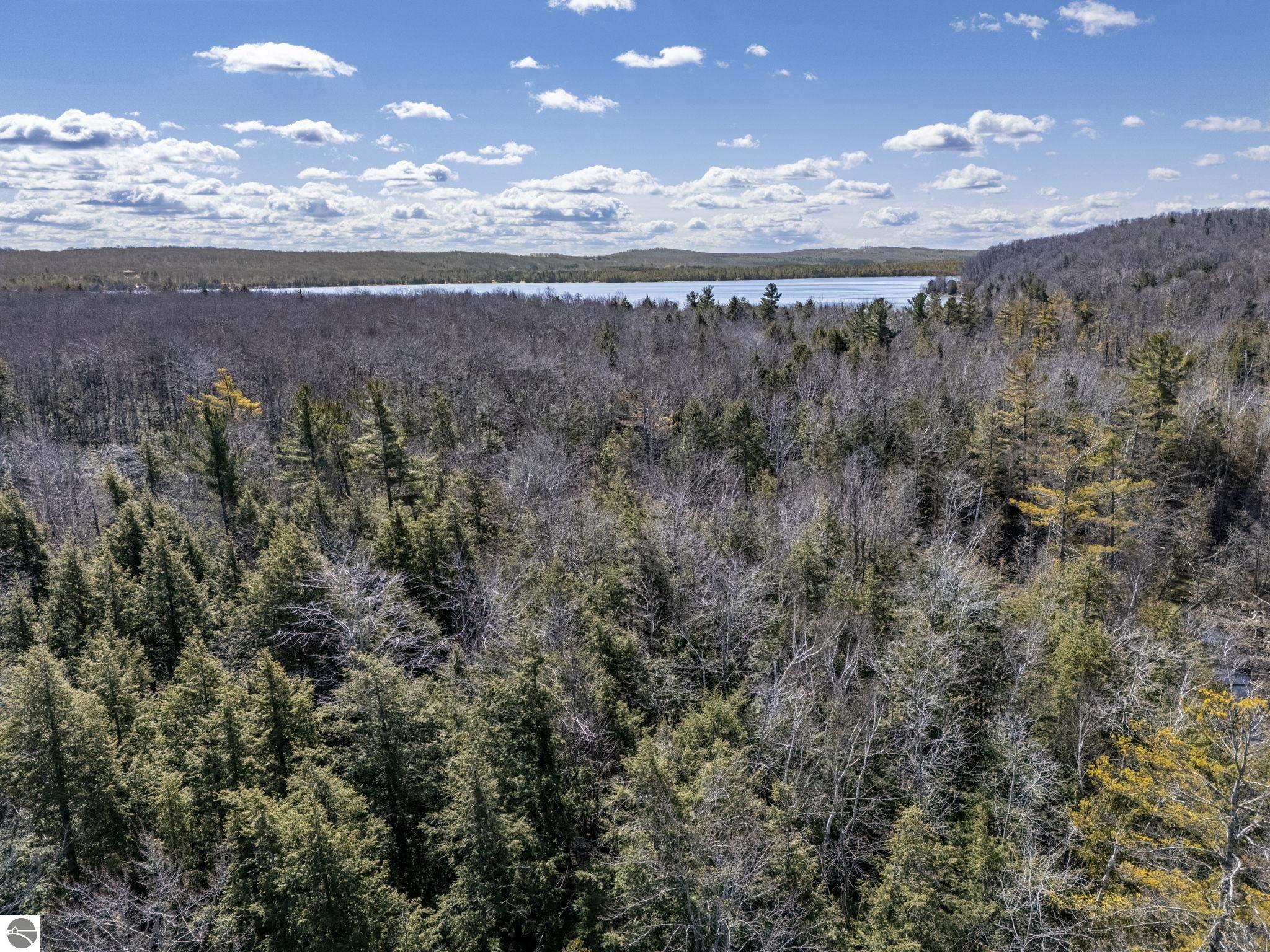 Lot 10 S Micheals Woods Trail