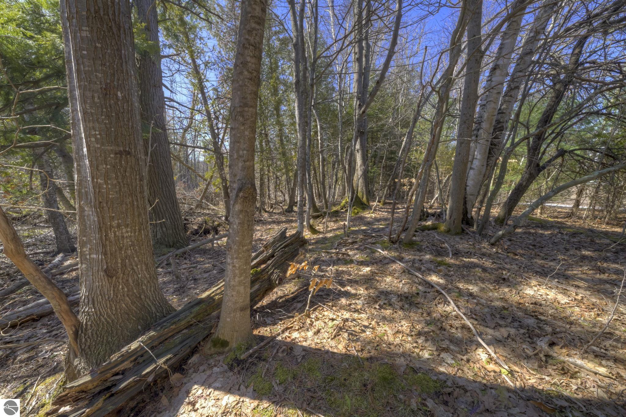 Lot 10 S Micheals Woods Trail
