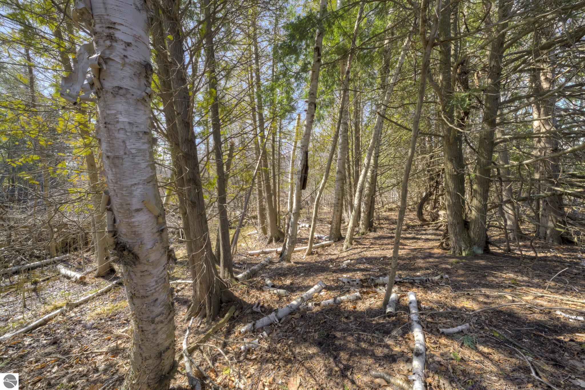 Lot 10 S Micheals Woods Trail