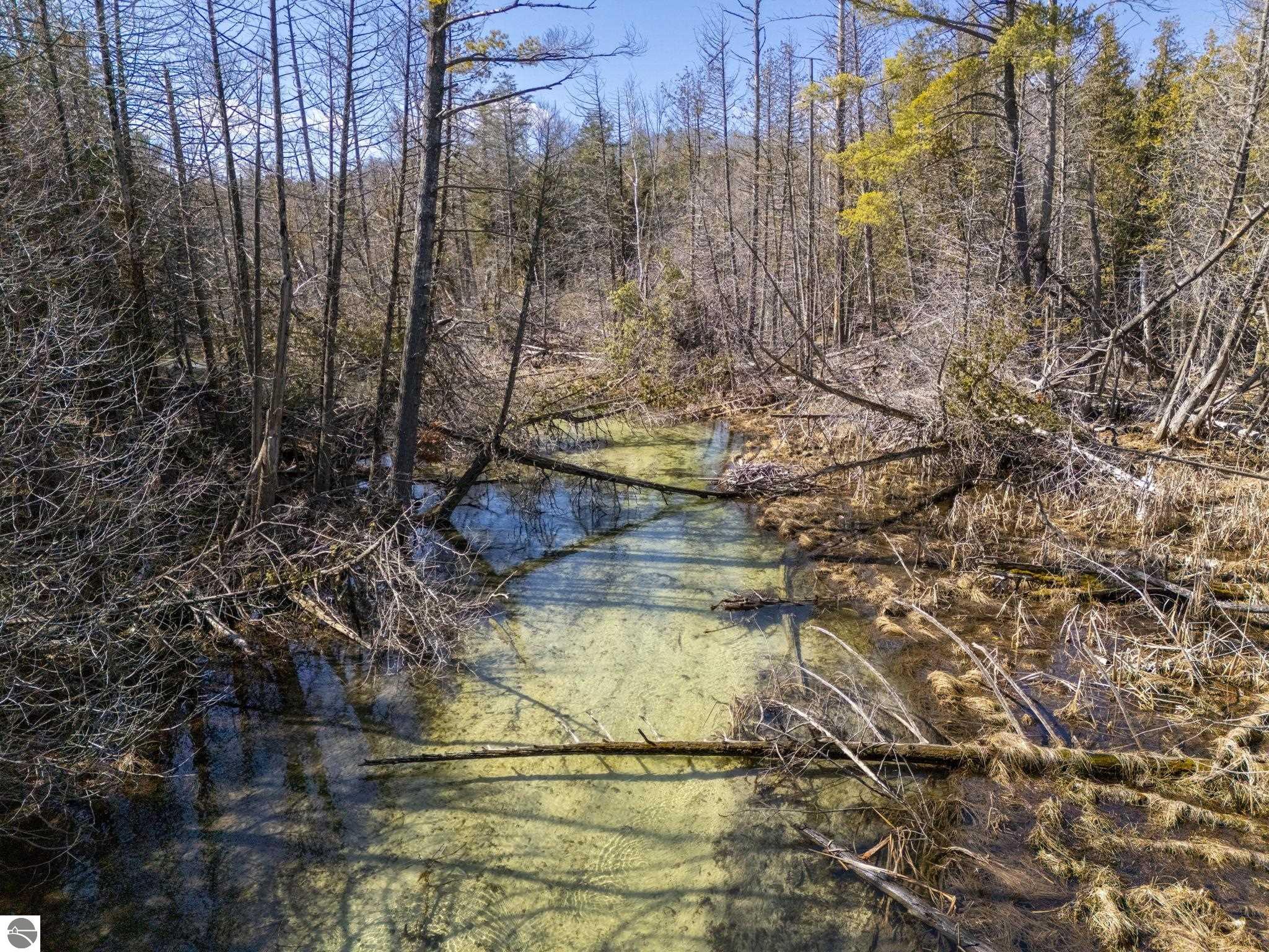 Lot 10 S Micheals Woods Trail