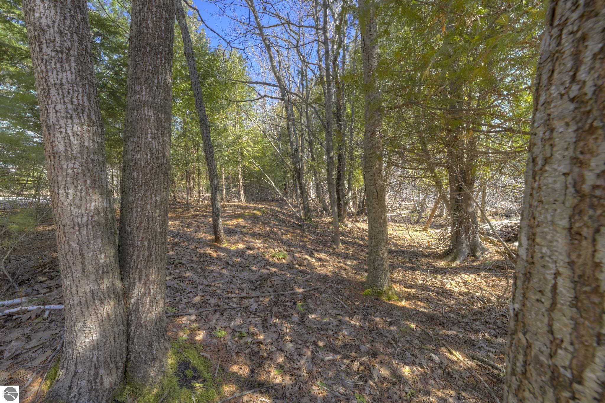 Lot 10 S Micheals Woods Trail