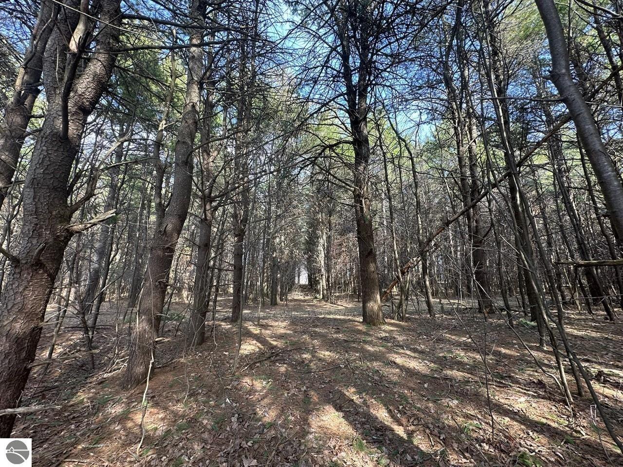 Lot 14 N Vincer Way