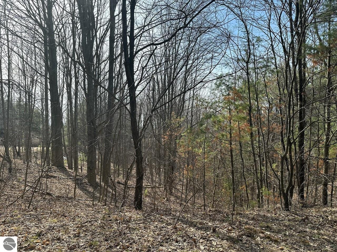 Lot 14 N Vincer Way