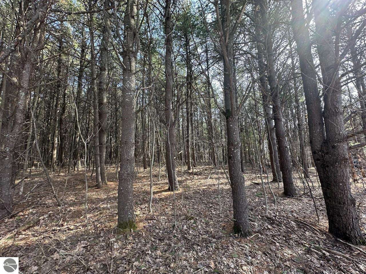 Lot 14 N Vincer Way