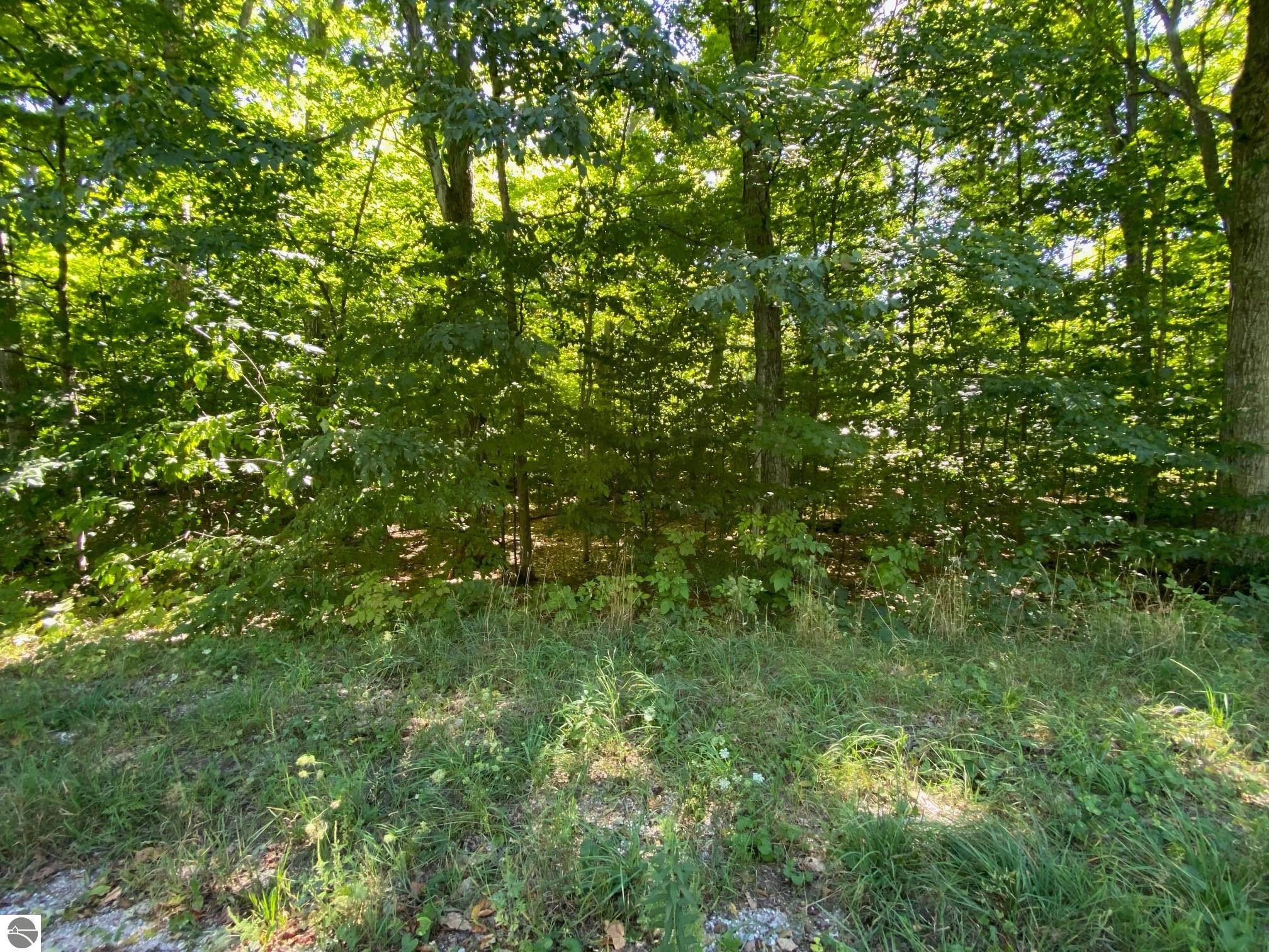 Lot 135 E Cherry Lane