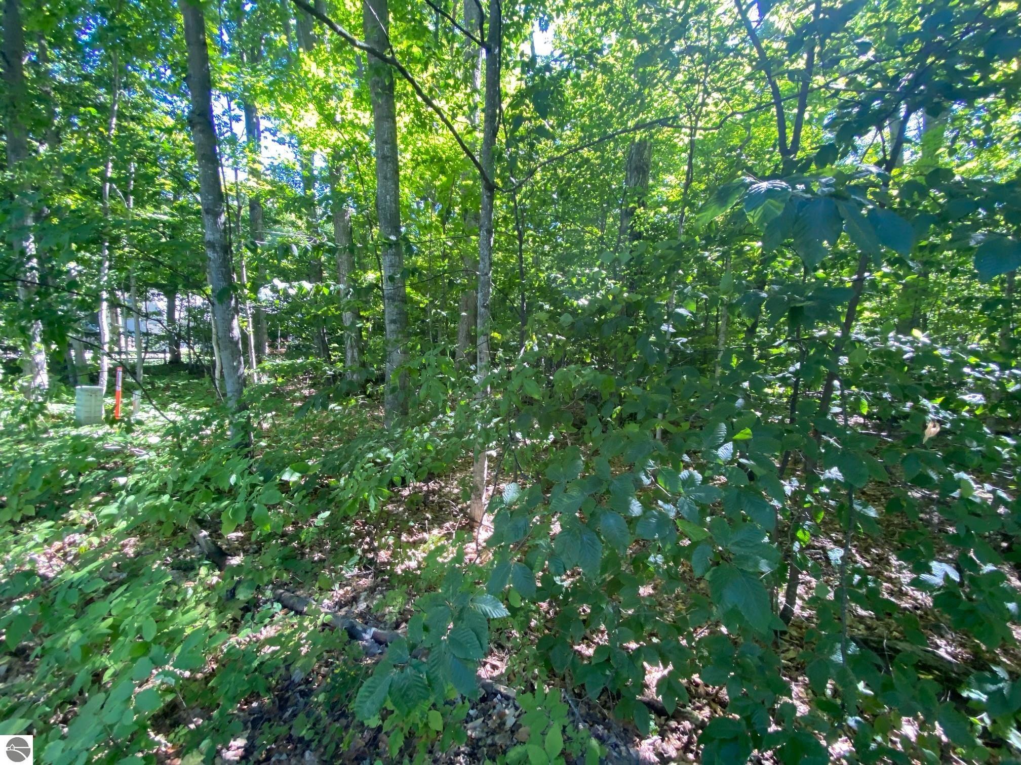 Lot 135 E Cherry Lane