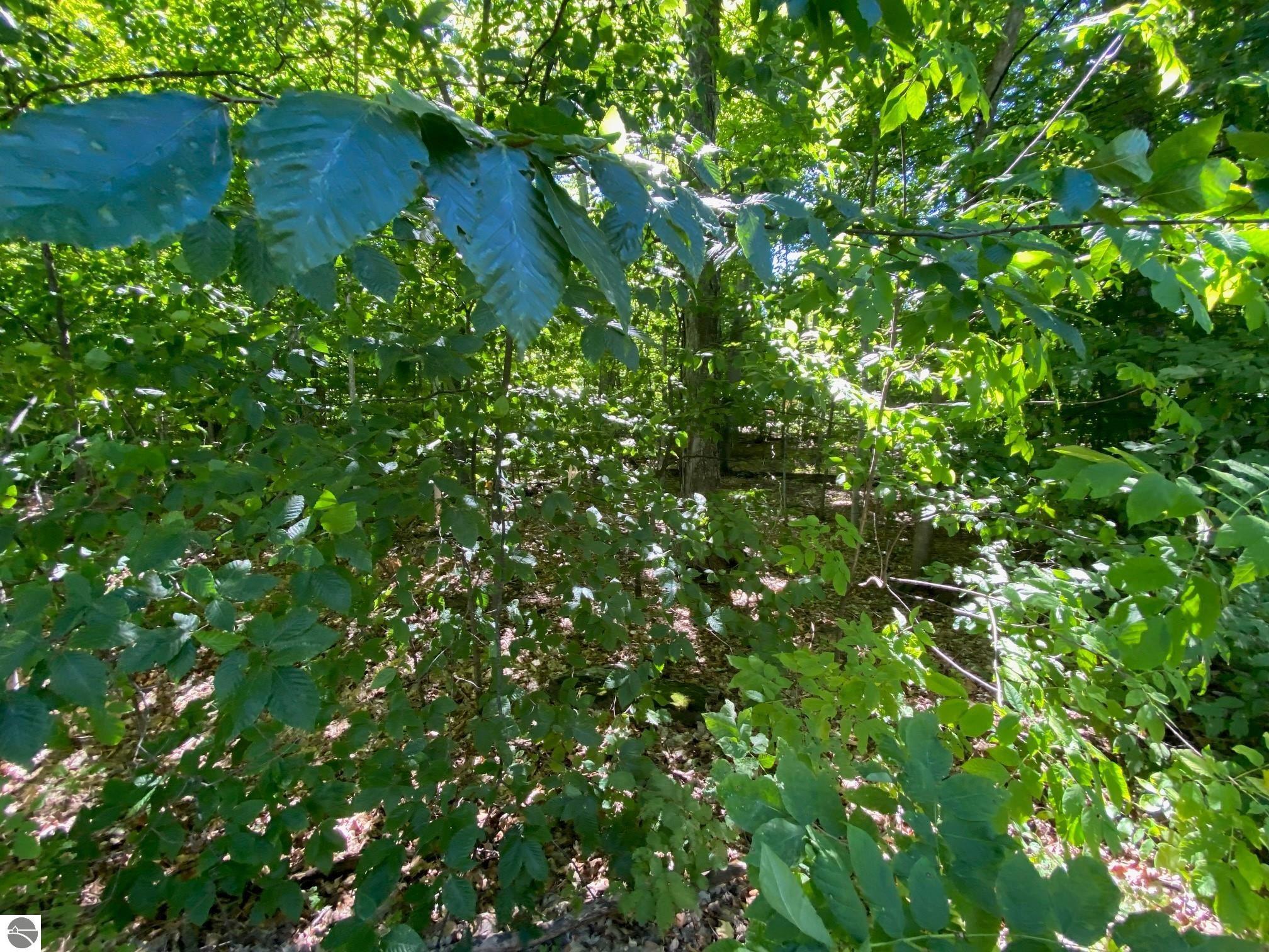 Lot 135 E Cherry Lane
