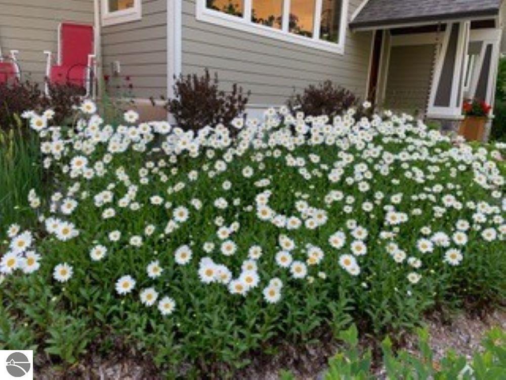 4201 N High Bluffs Drive