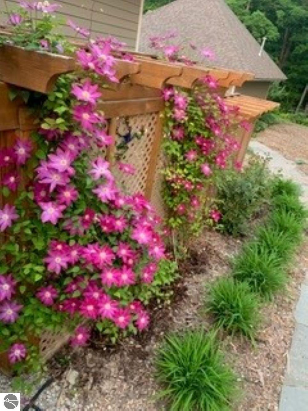 4201 N High Bluffs Drive