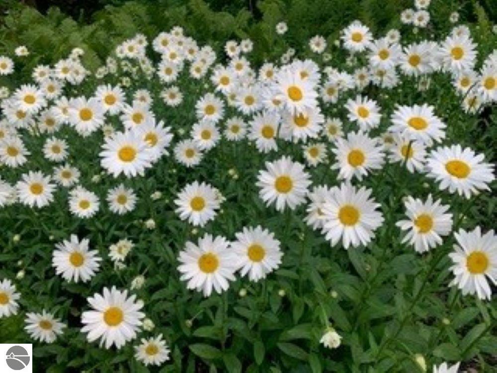 4201 N High Bluffs Drive