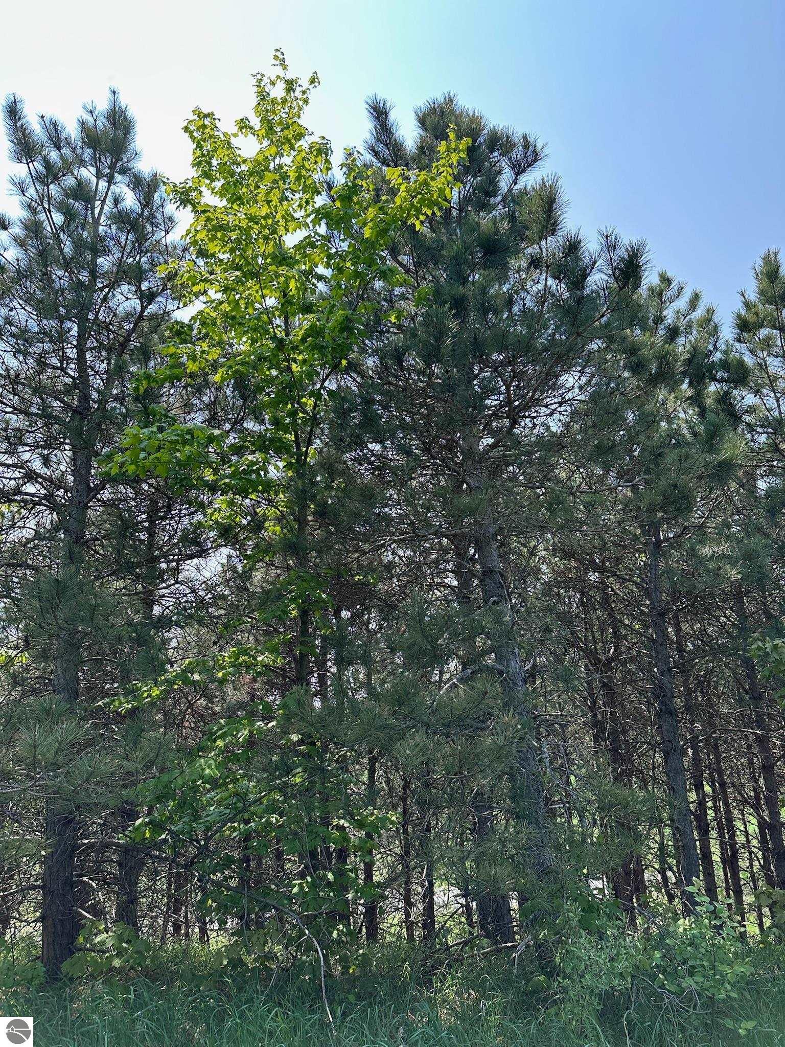 2494 N Setterbo Road
