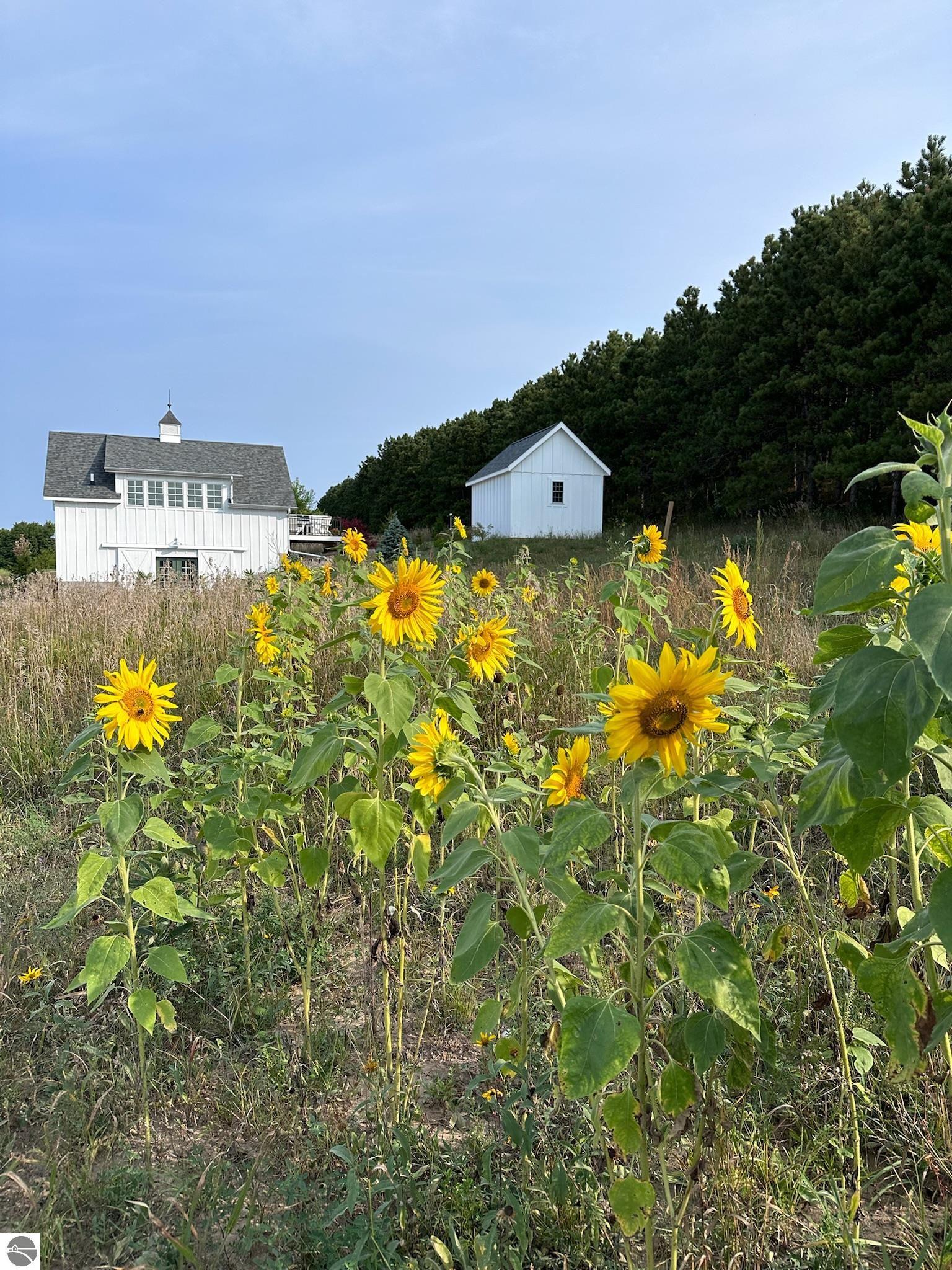 2494 N Setterbo Road
