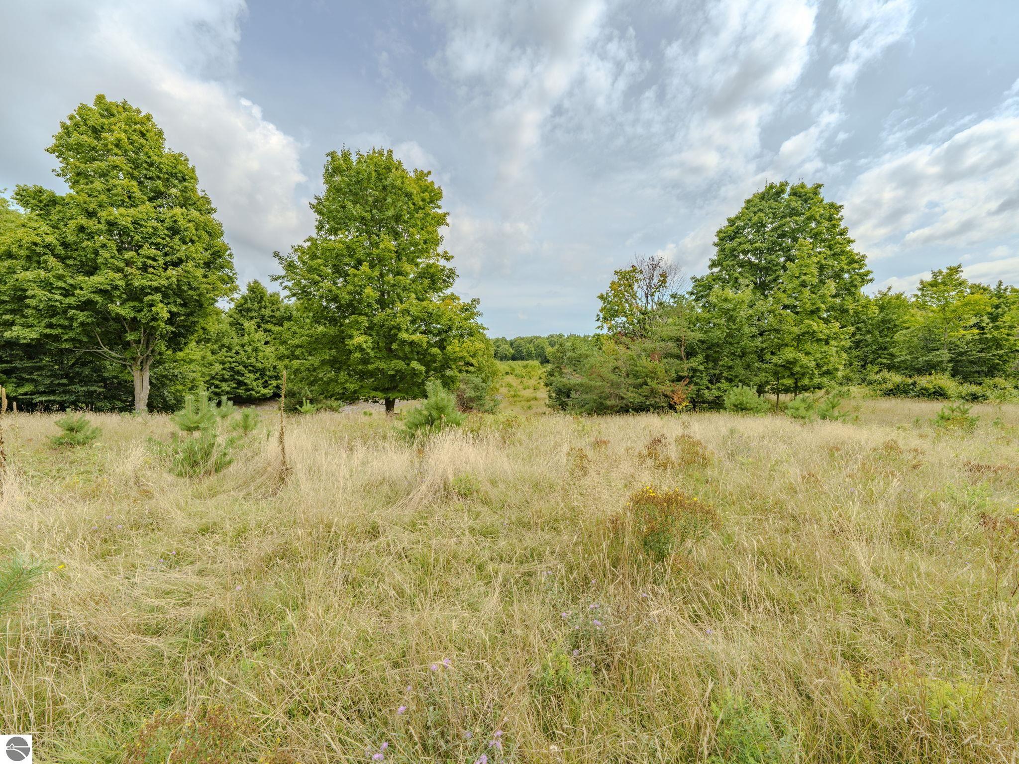 Esch Road