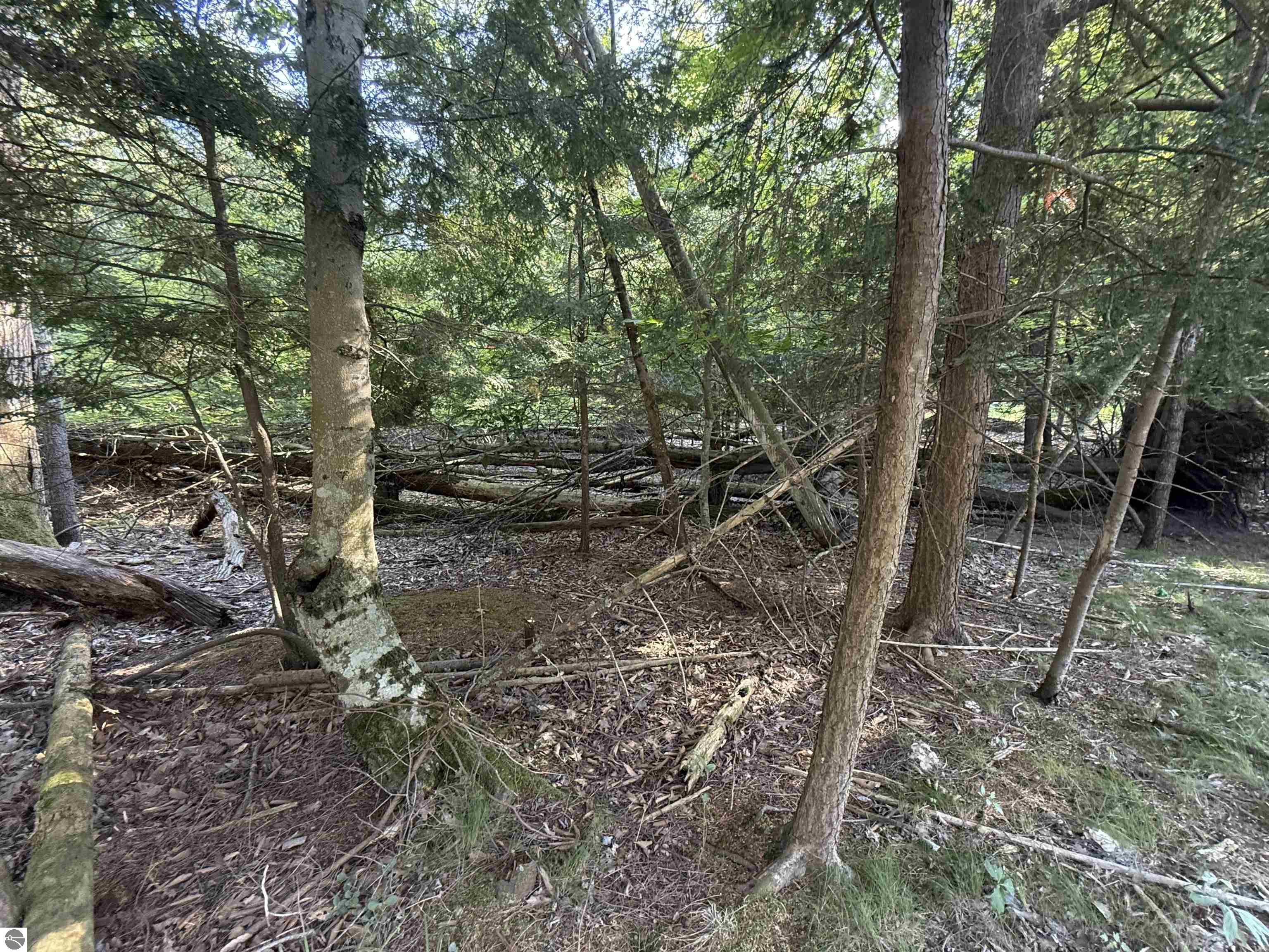 Lot 57 W Harbor Highway