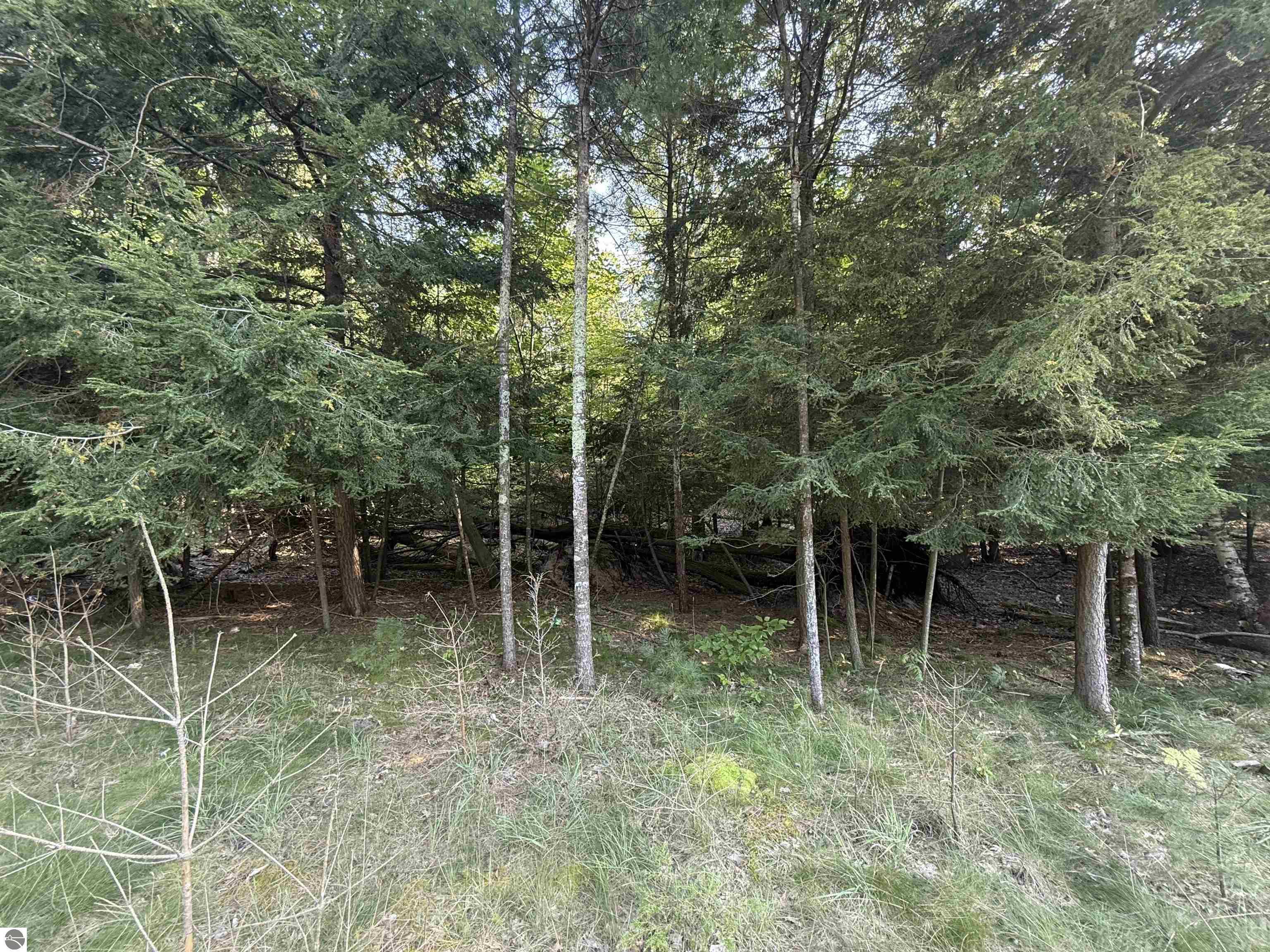 Lot 58 W Harbor Highway