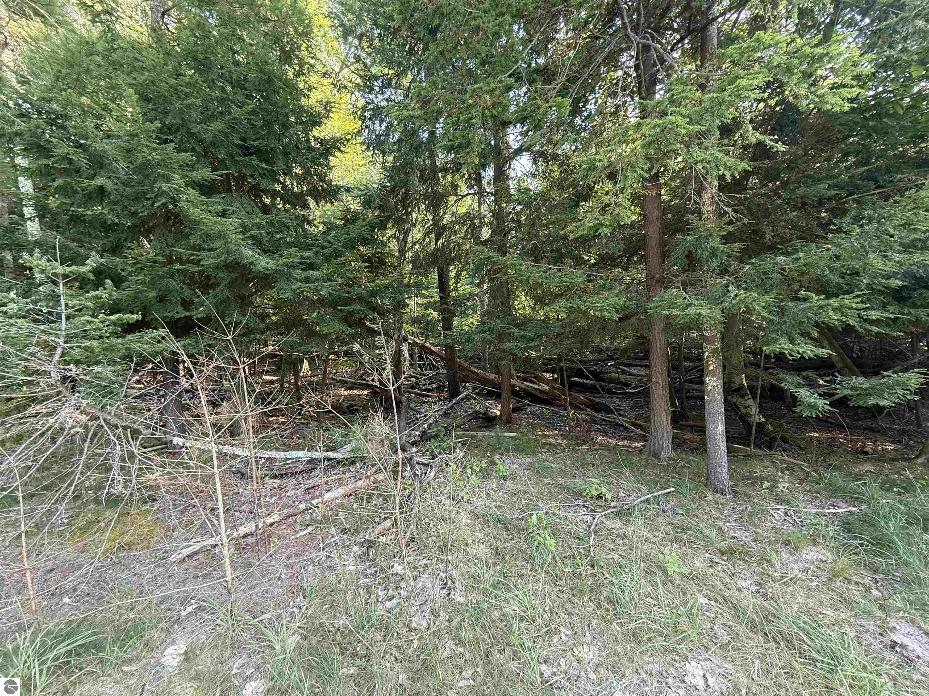 Lot 58 W Harbor Highway