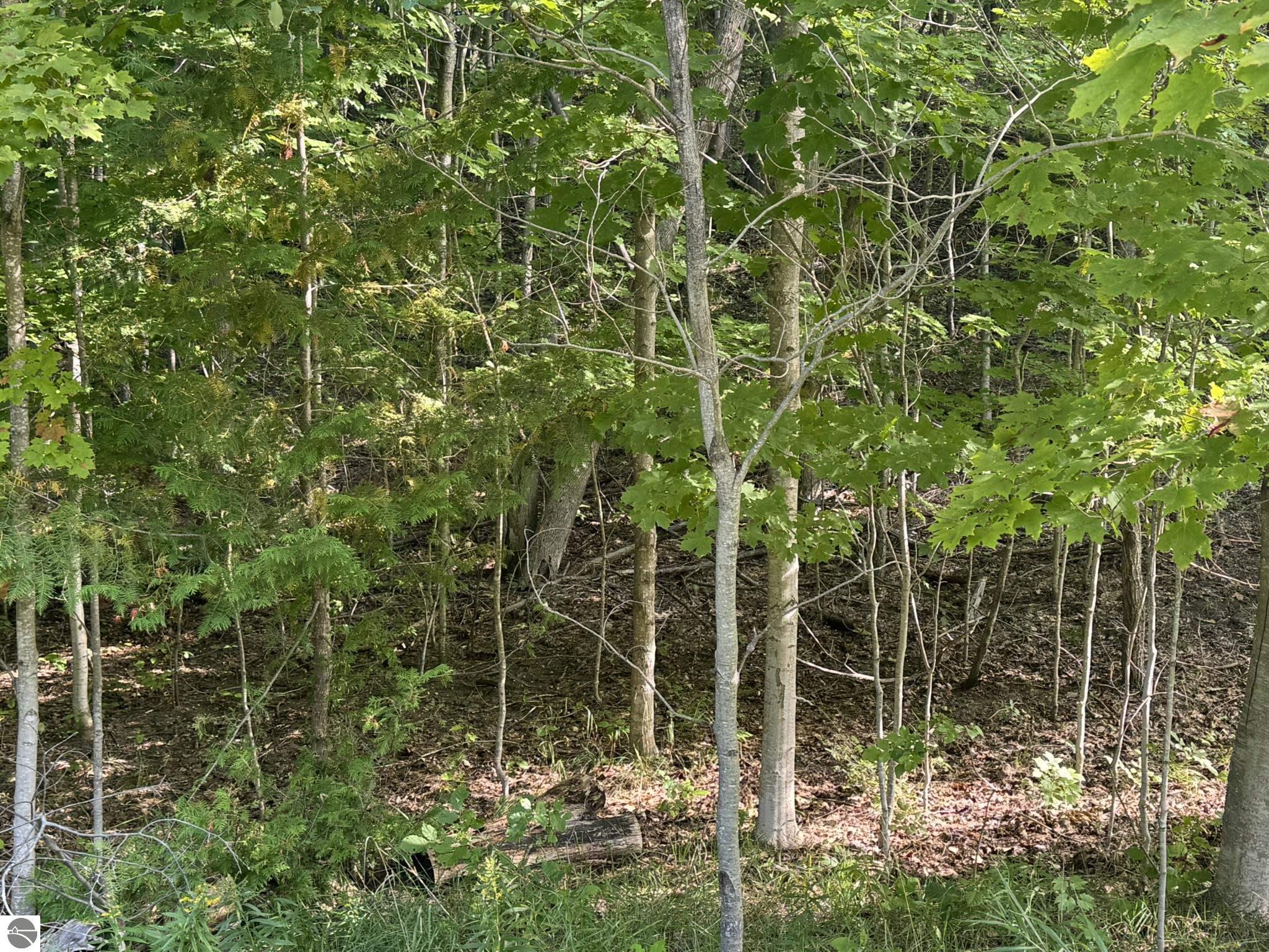 Lot 4 E Old Mountain Road