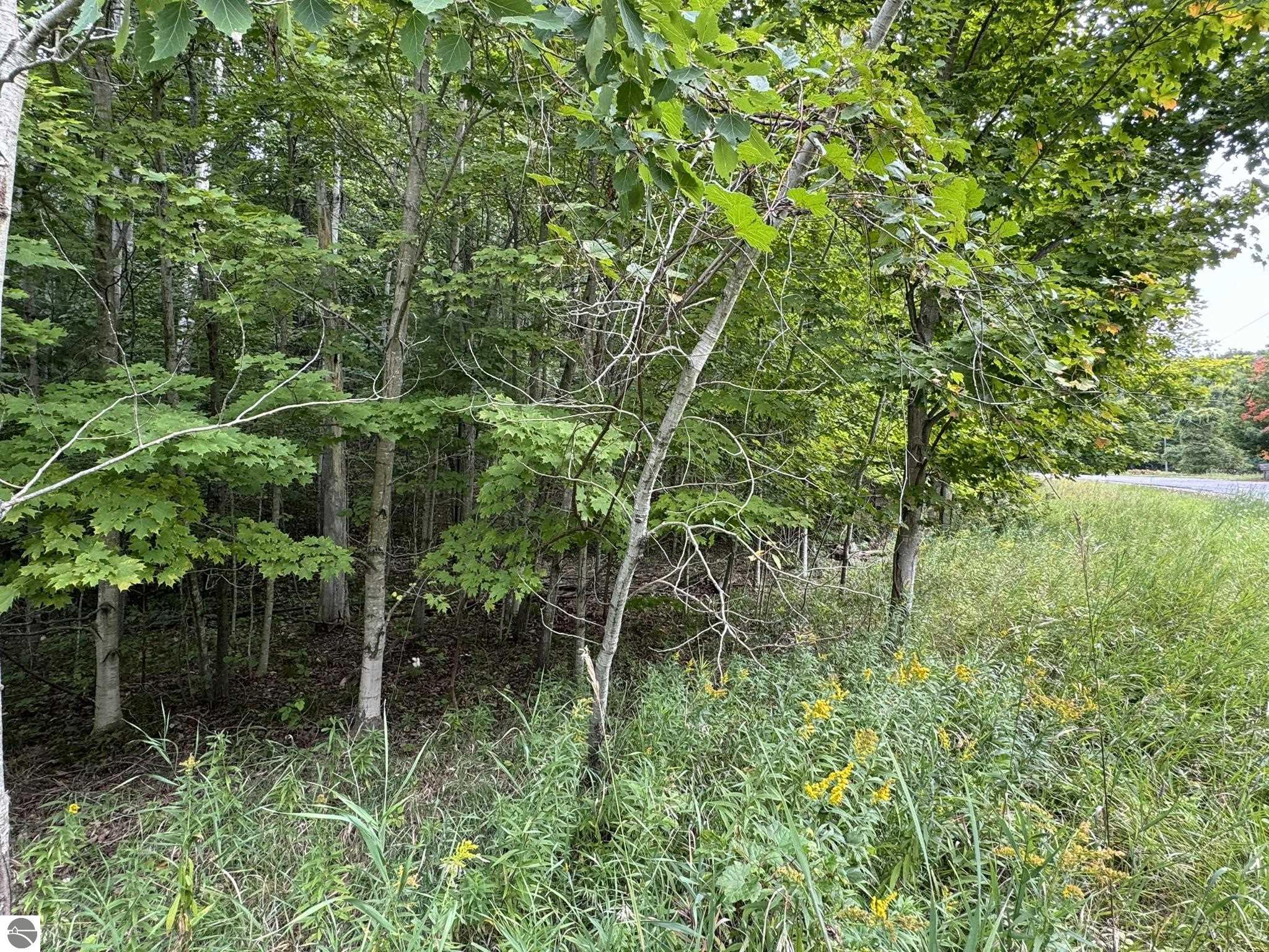 Lot 4 E Old Mountain Road