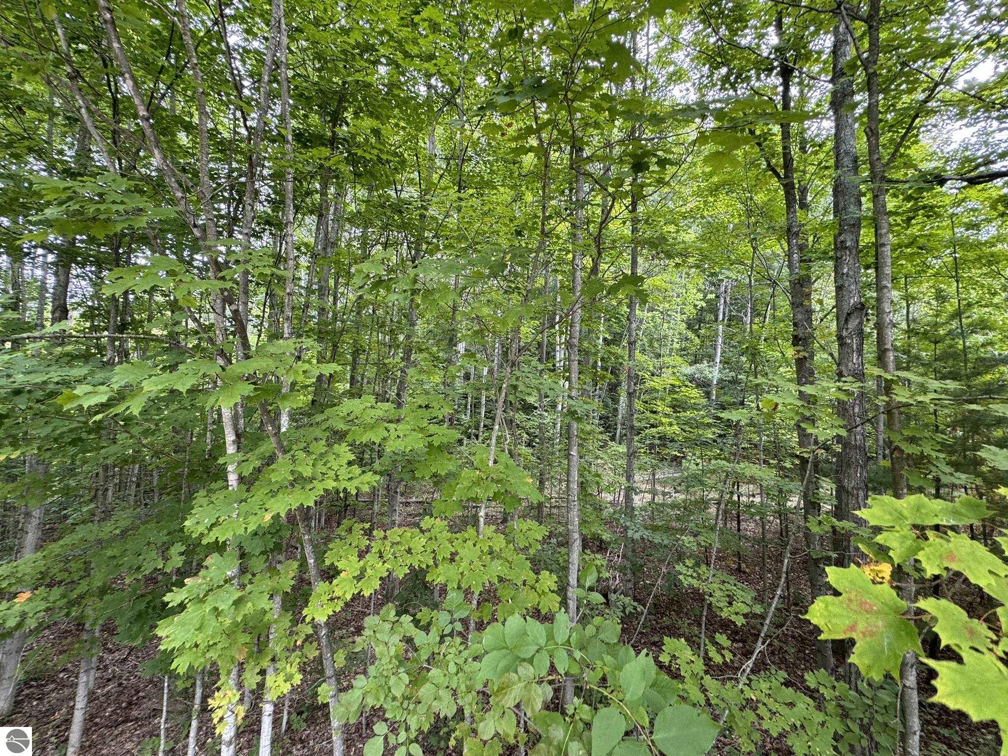 Lot 4 E Old Mountain Road