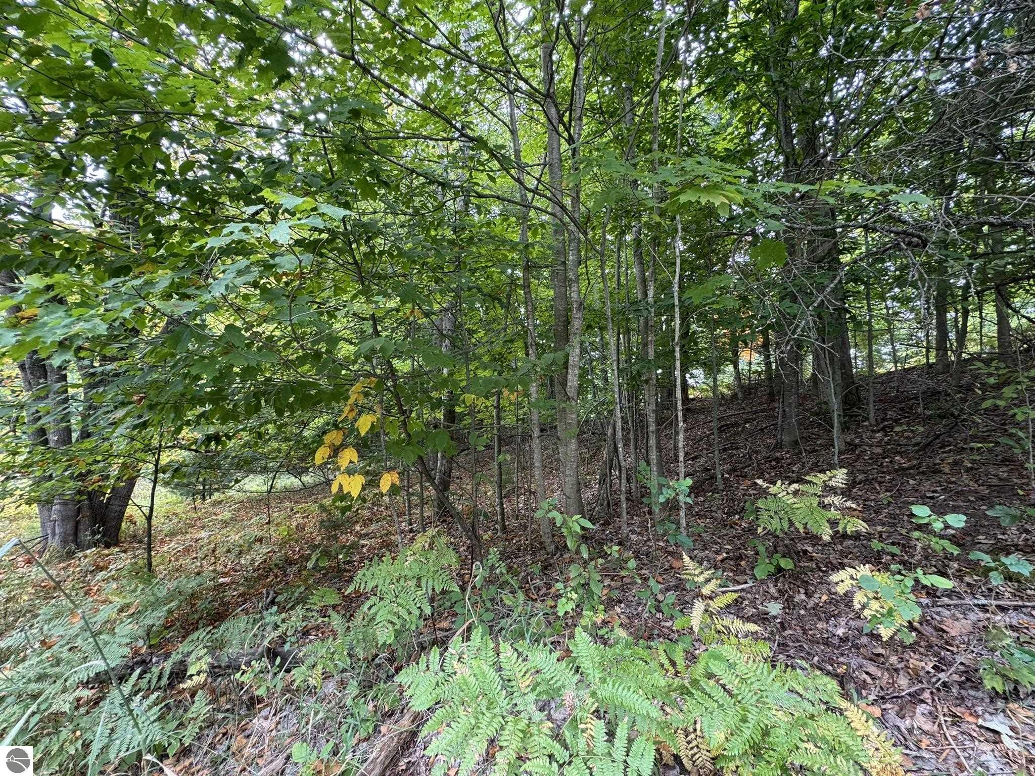 Lot 5 E Old Mountain Road