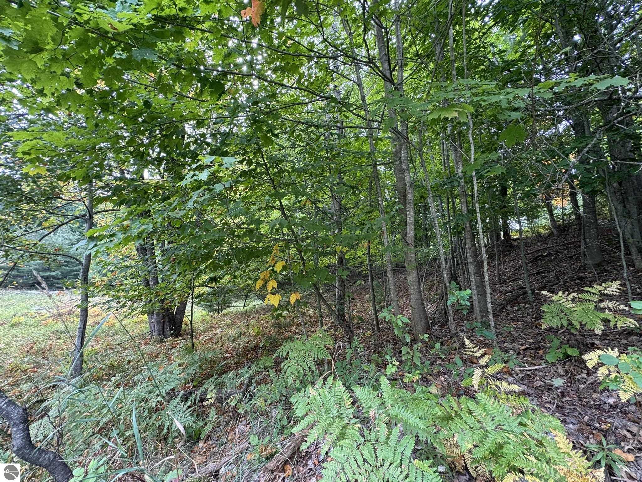 Lot 5 E Old Mountain Road