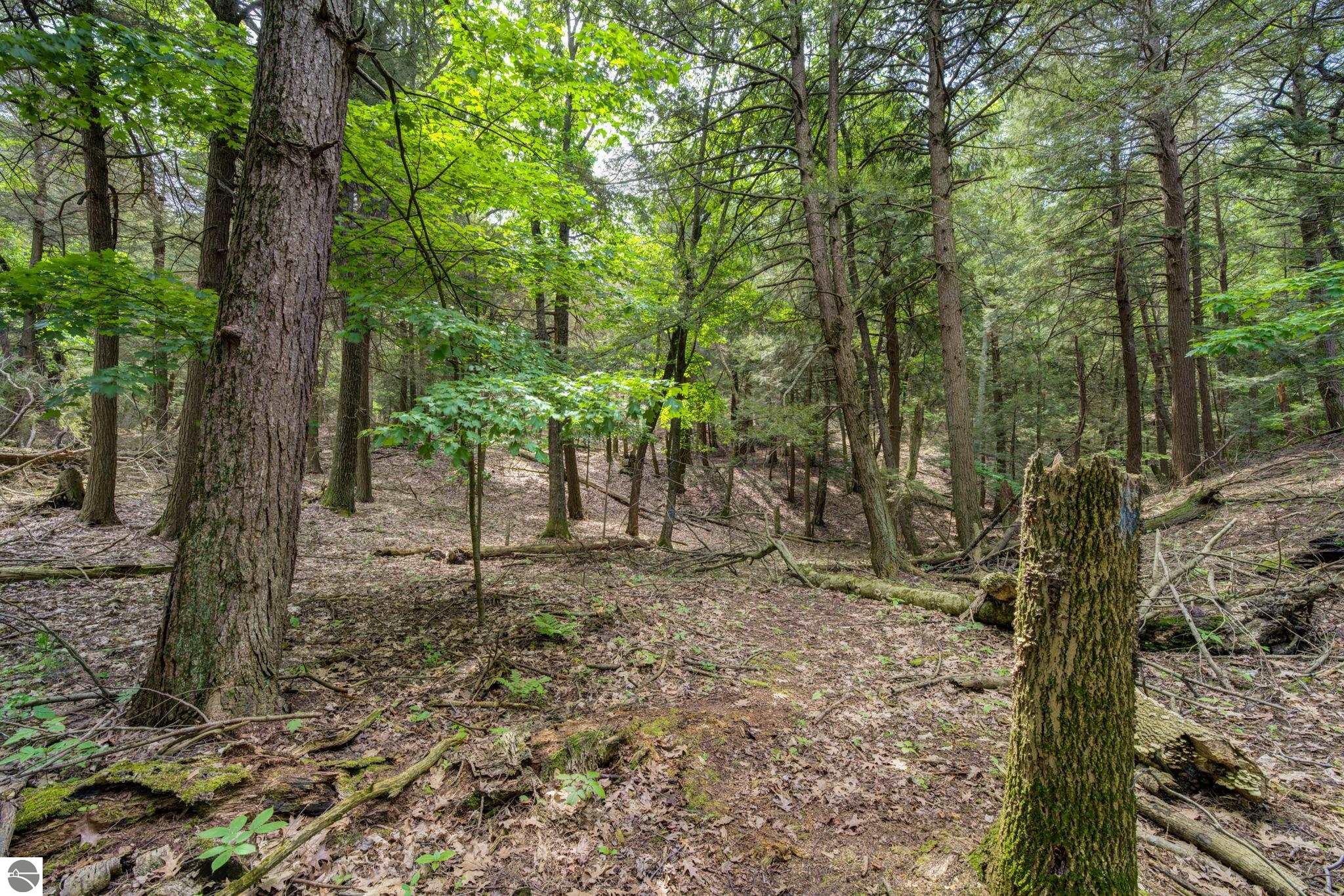 3312 Old State Road