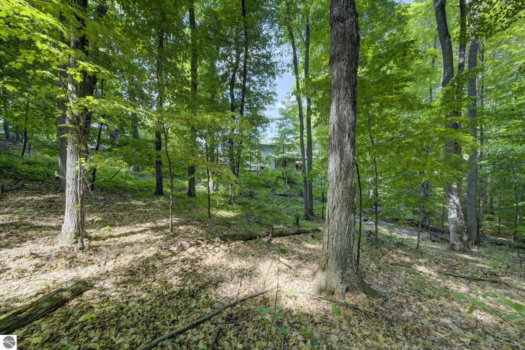 12166 E Old Orchard Trail